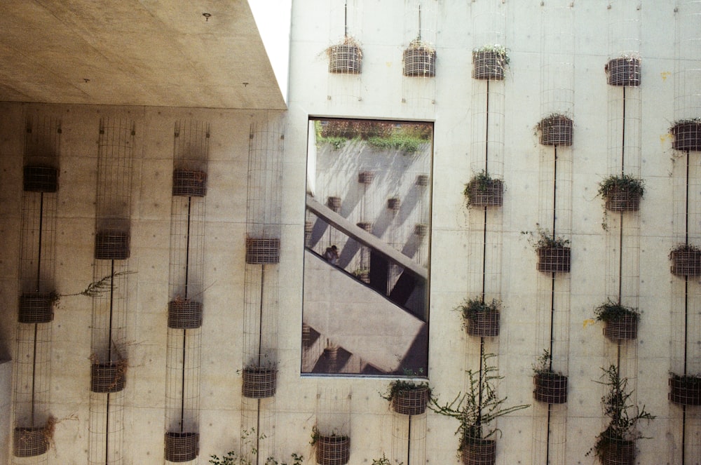 a window with bars on it