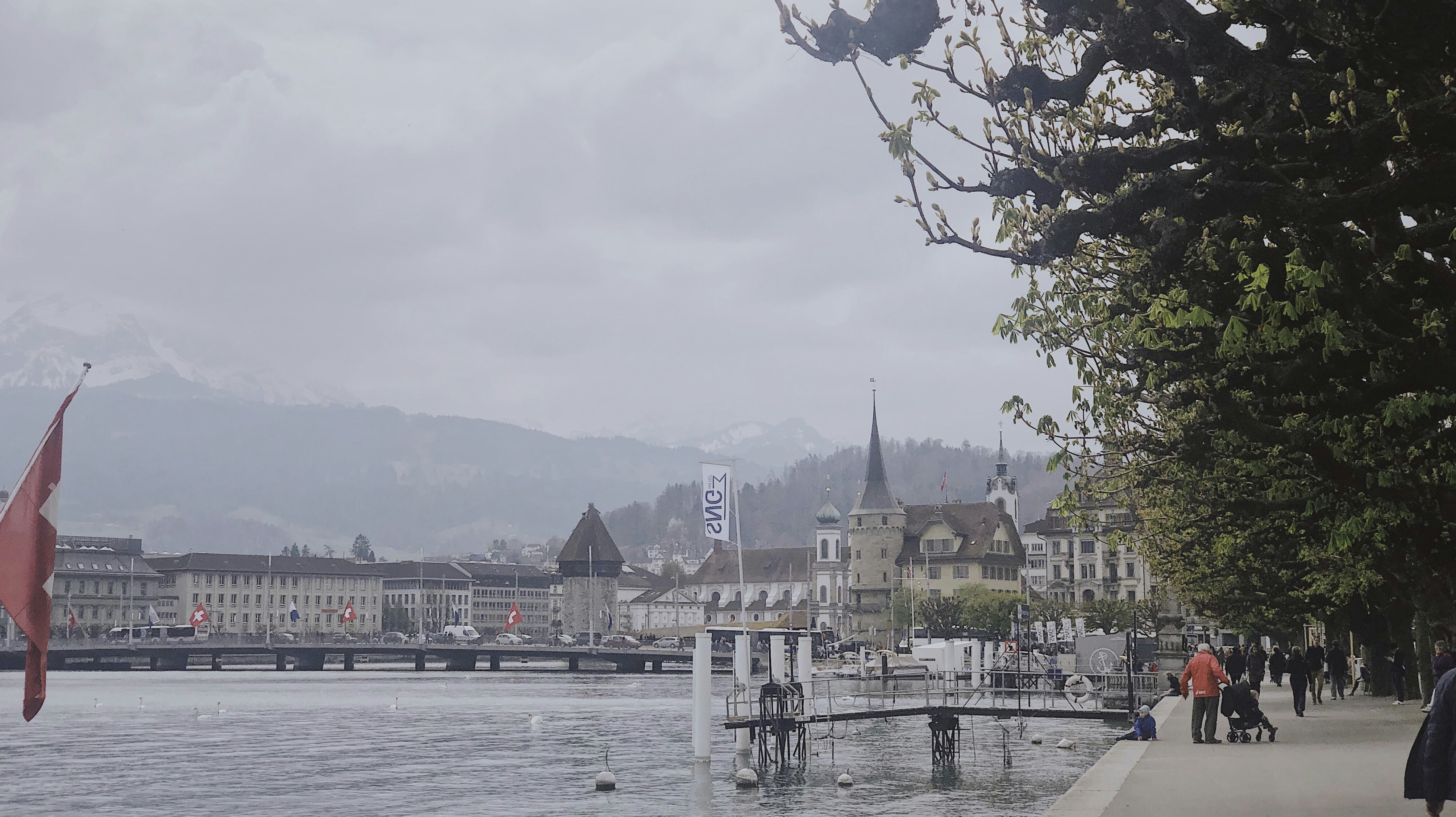 a body of water with buildings along it and a tree
