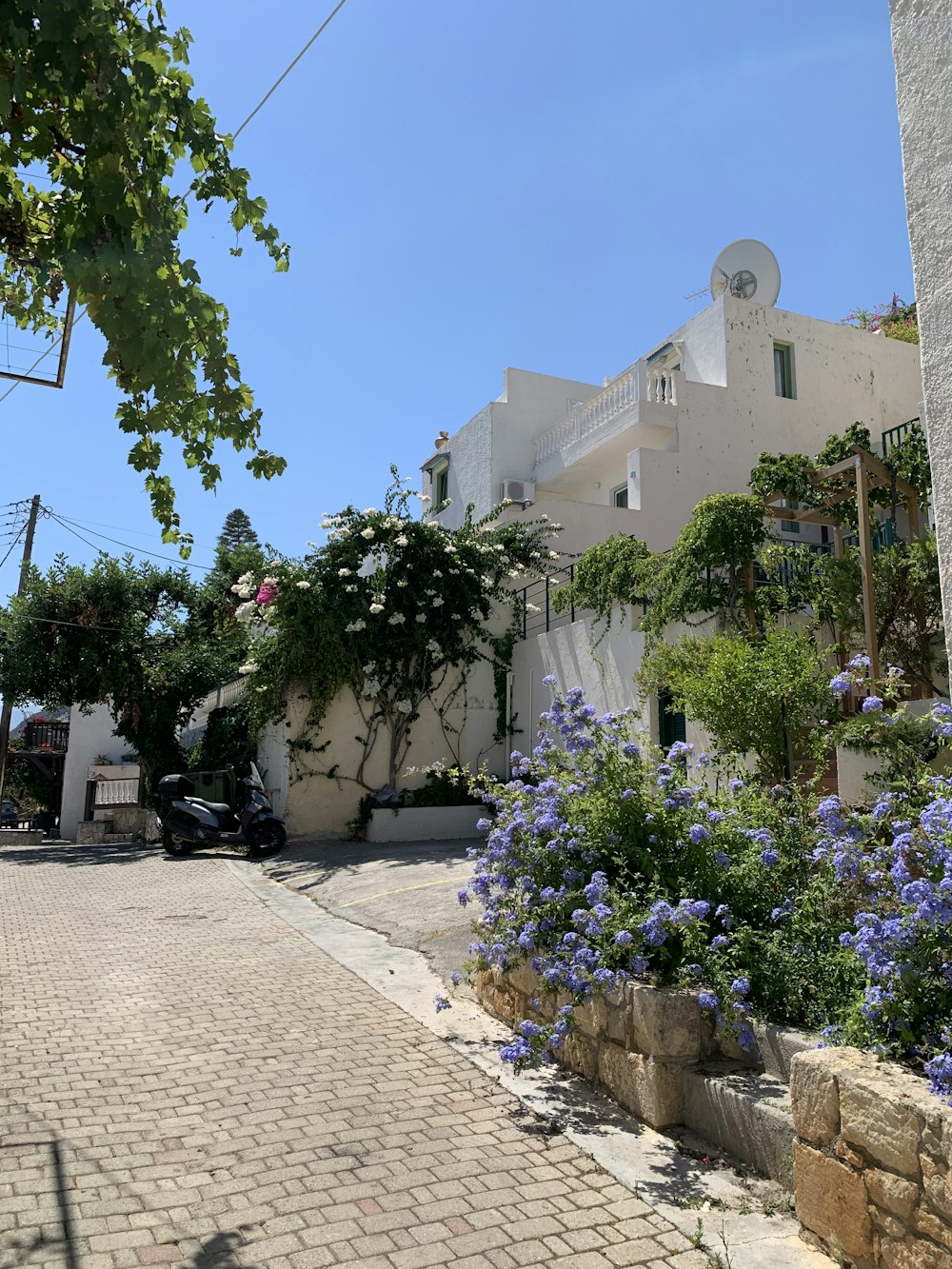 a stone road with flowers and trees