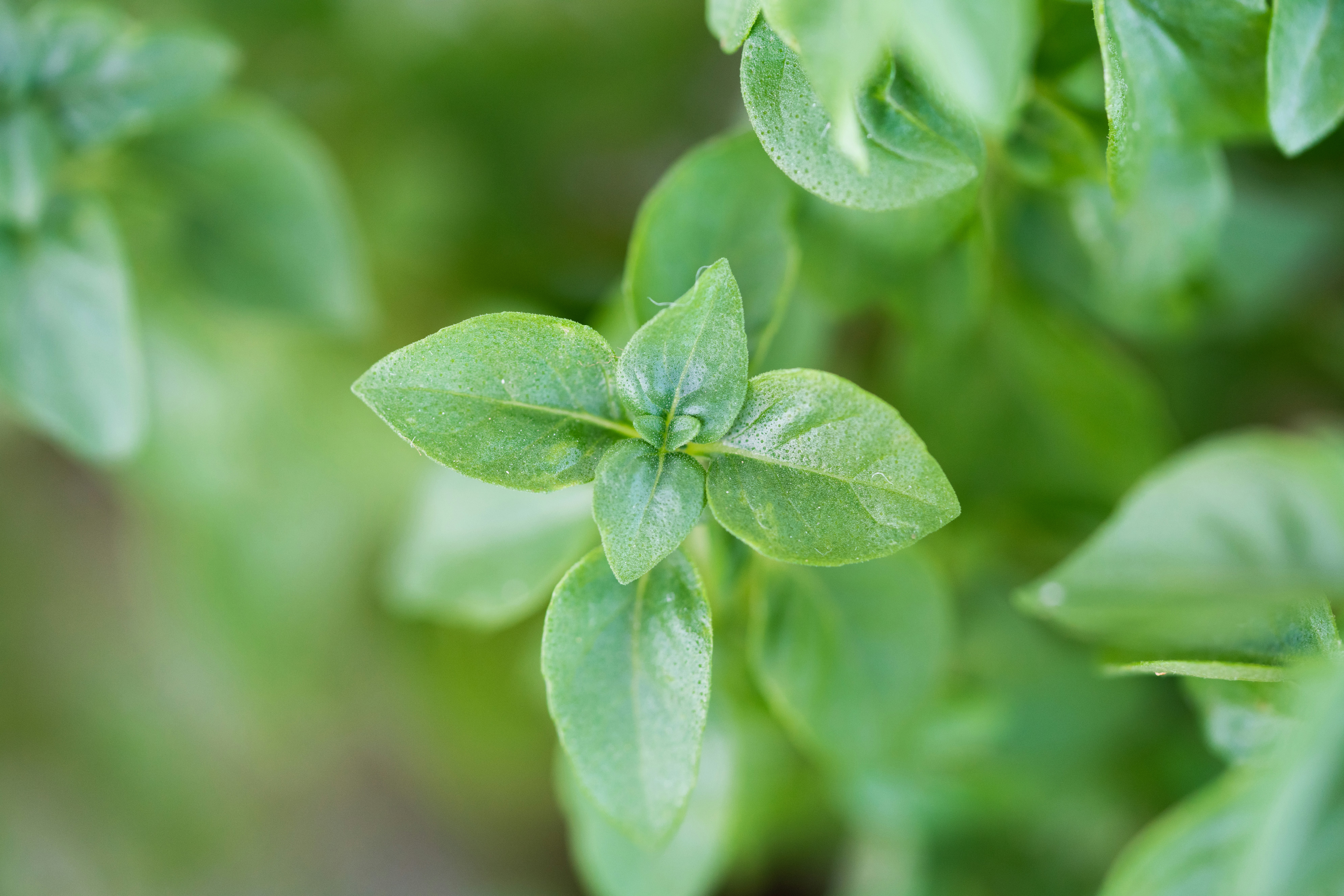 Photo by avdellidisfotis