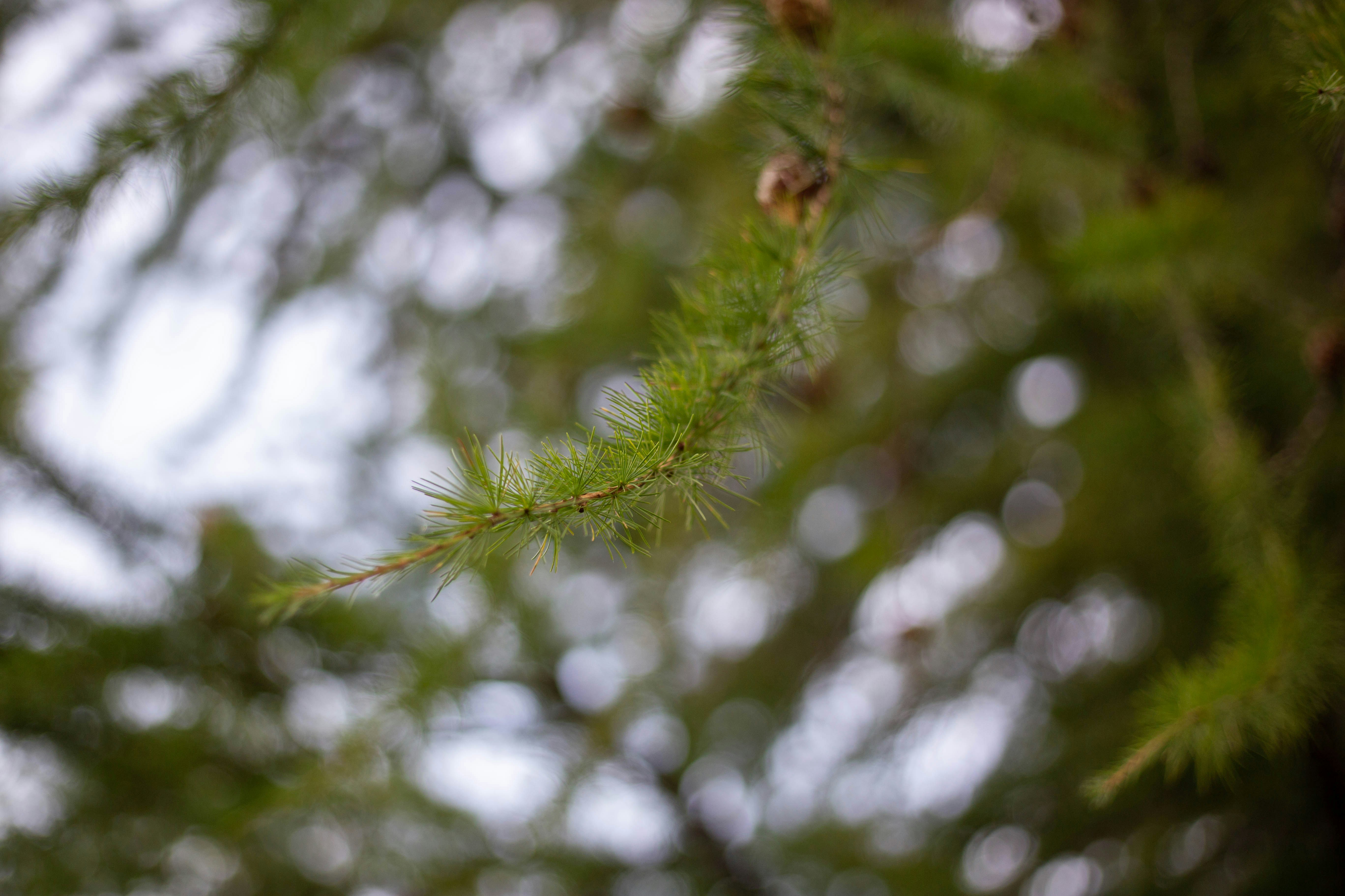 Photo by michelelana