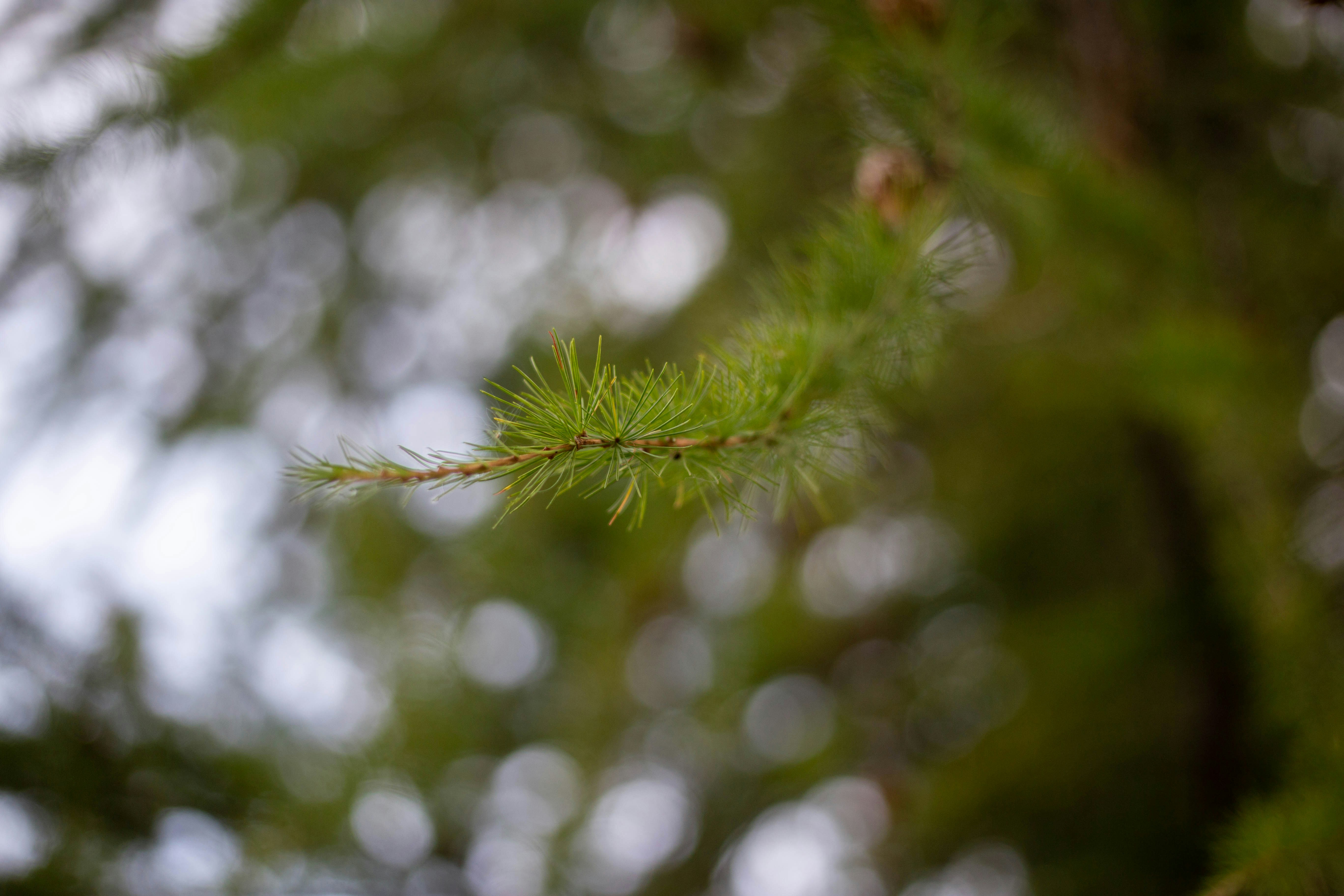 Photo by michelelana