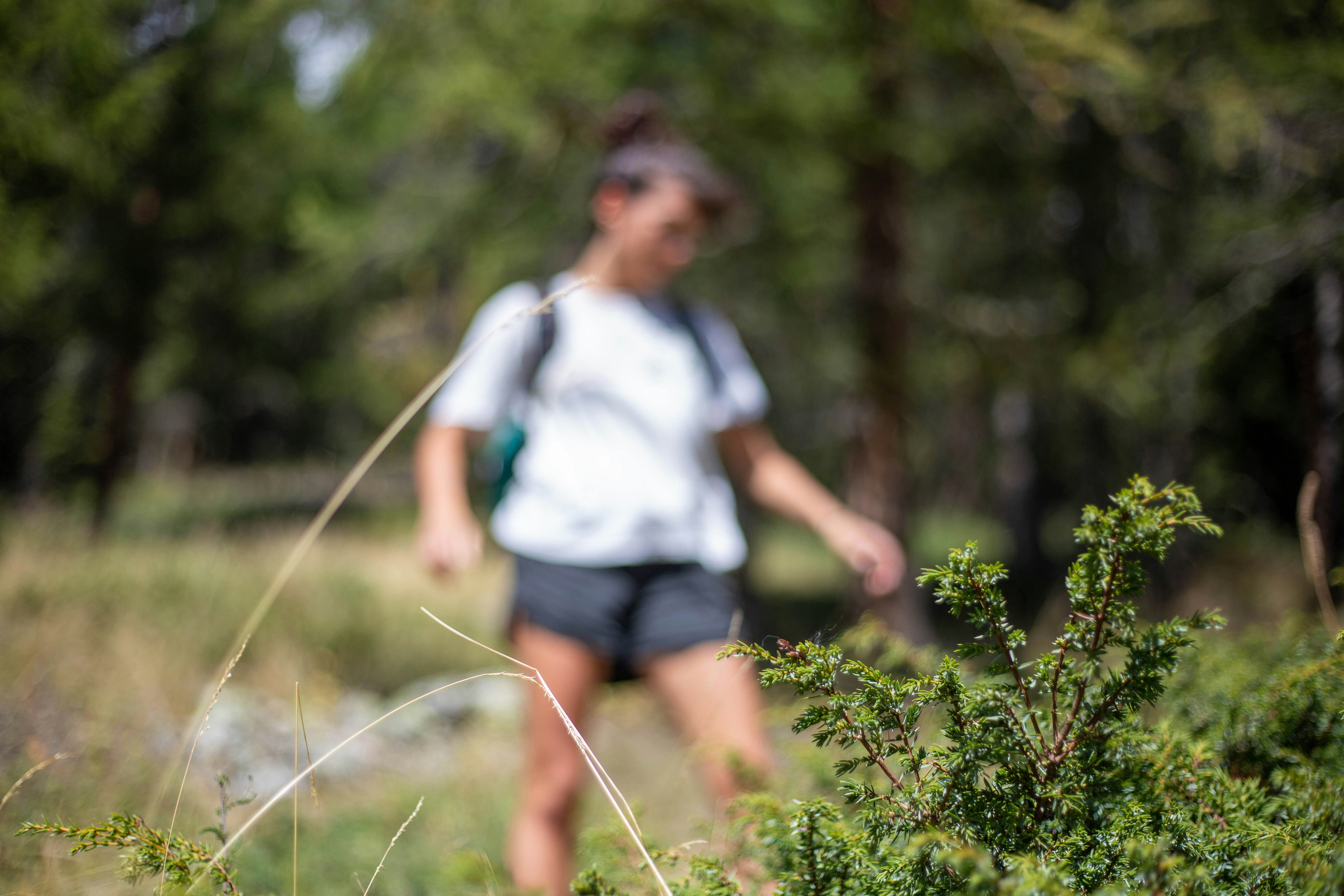 Photo by michelelana