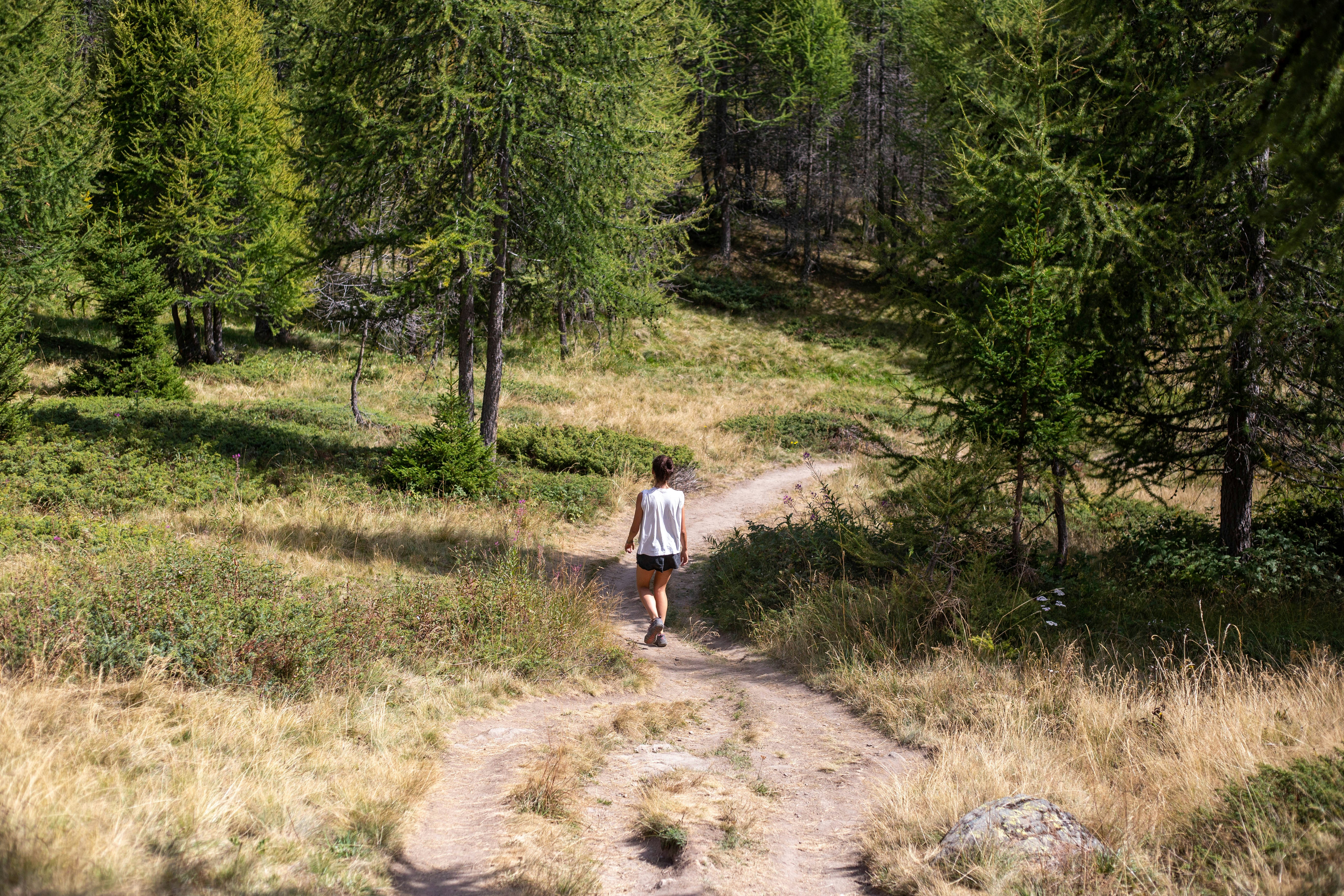 a person running on a dirt path in a forest