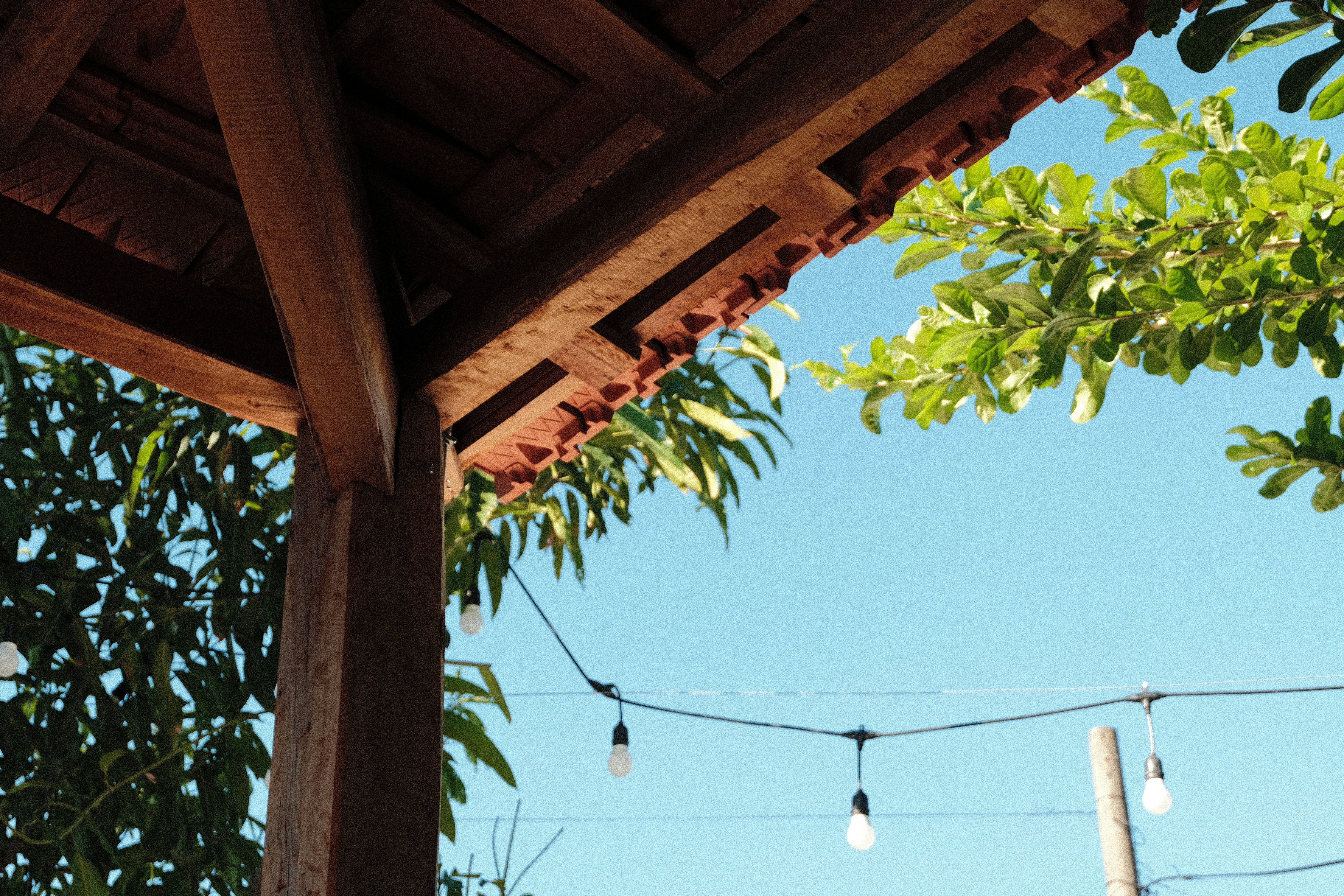 Photo by dvhoang2106