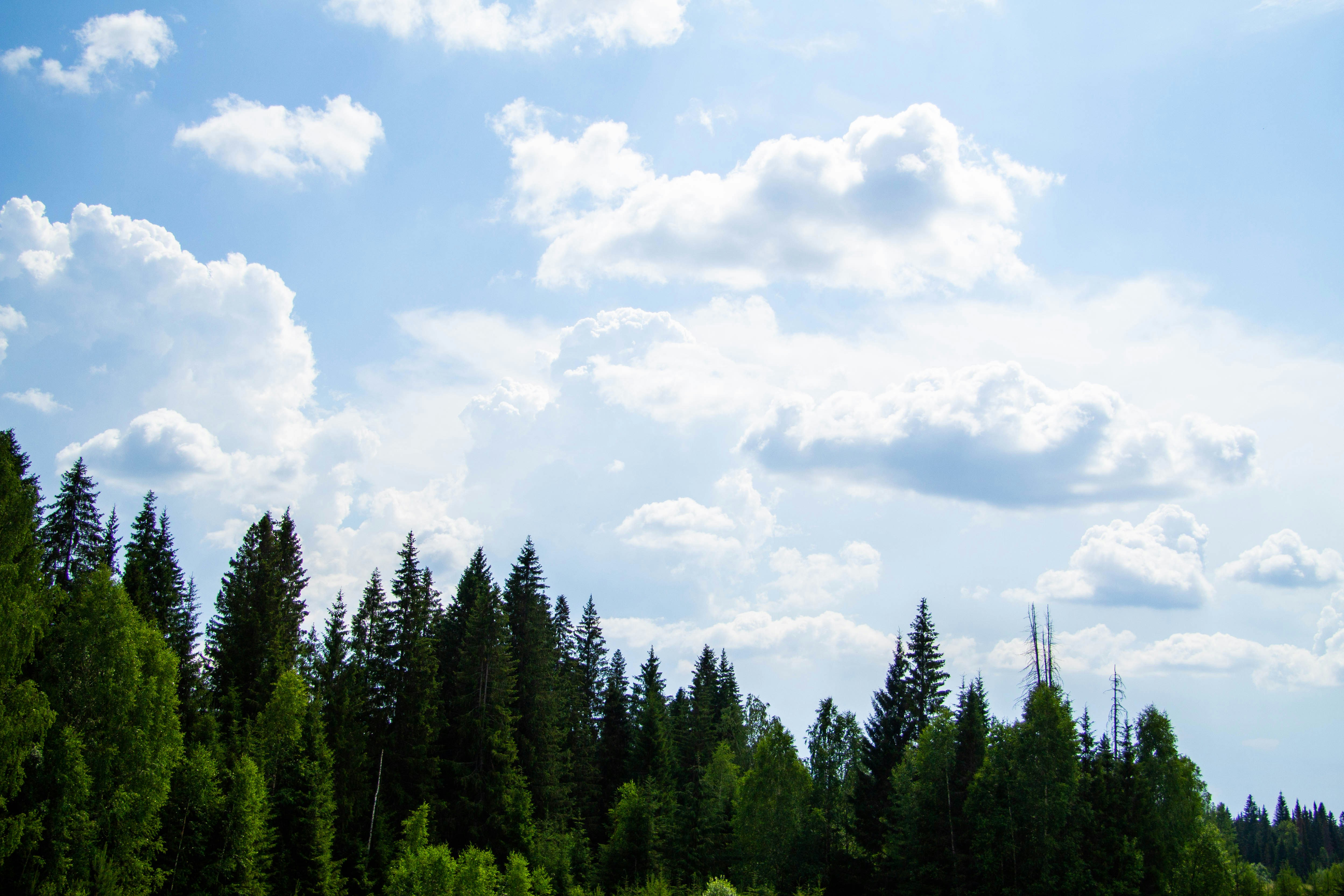 Photo by pinkpony2000