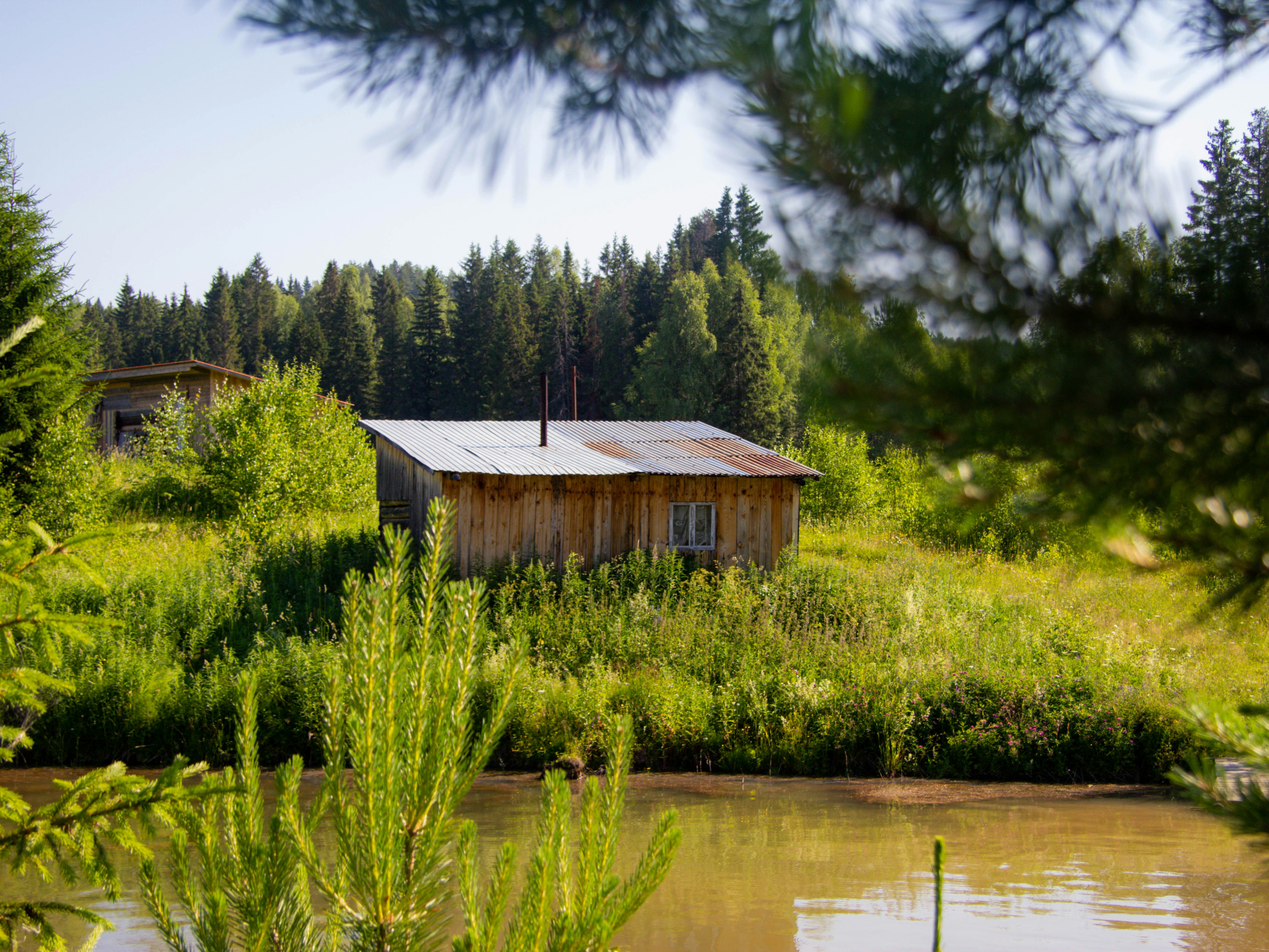 Photo by pinkpony2000