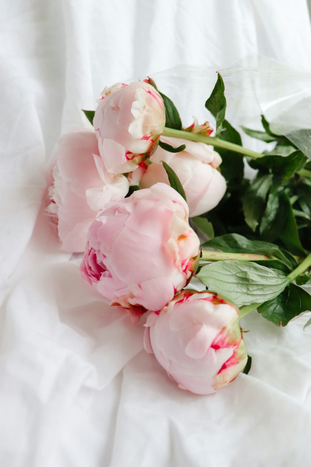 a bouquet of pink roses