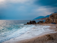 Siena exploring a rocky beach with waves gently crashing nearby.