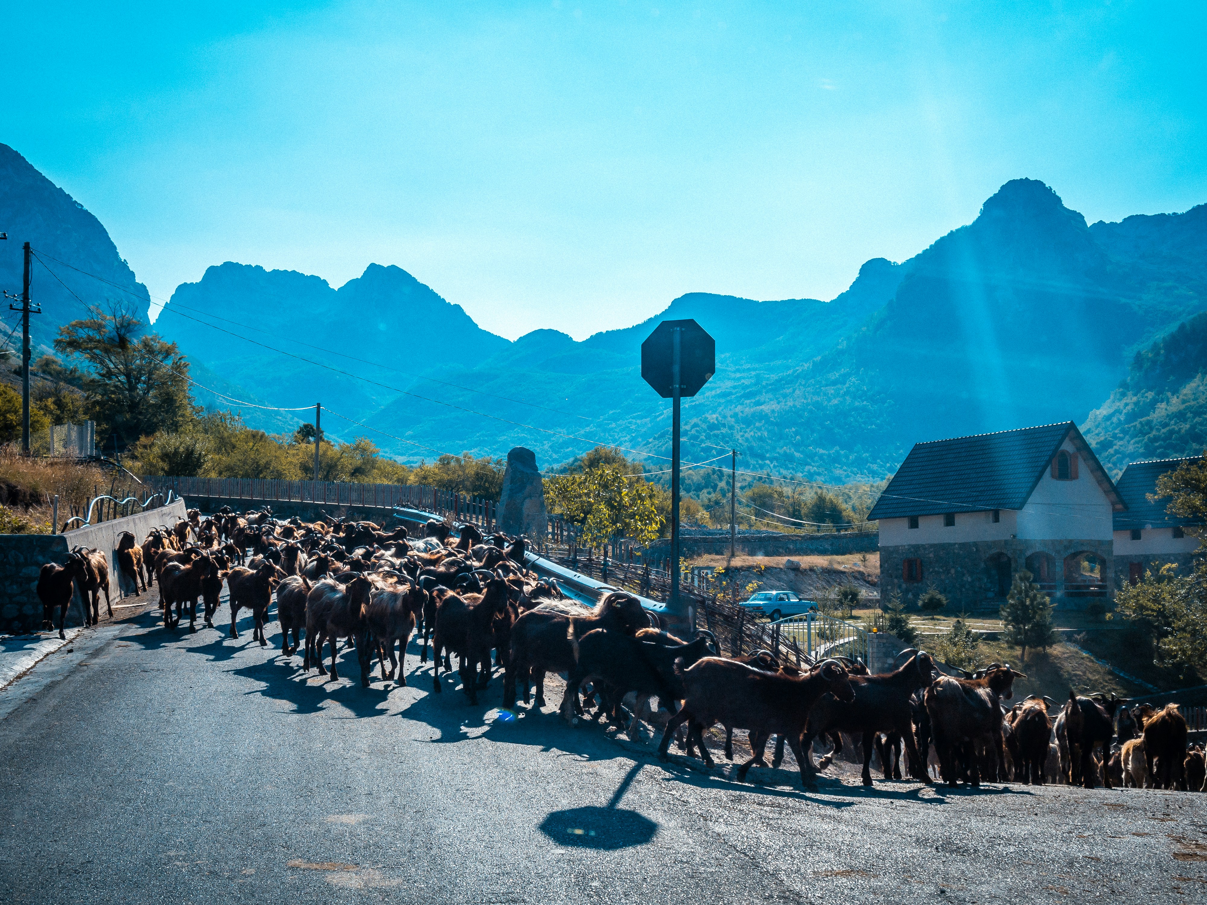 Theth – Activities & Attractions