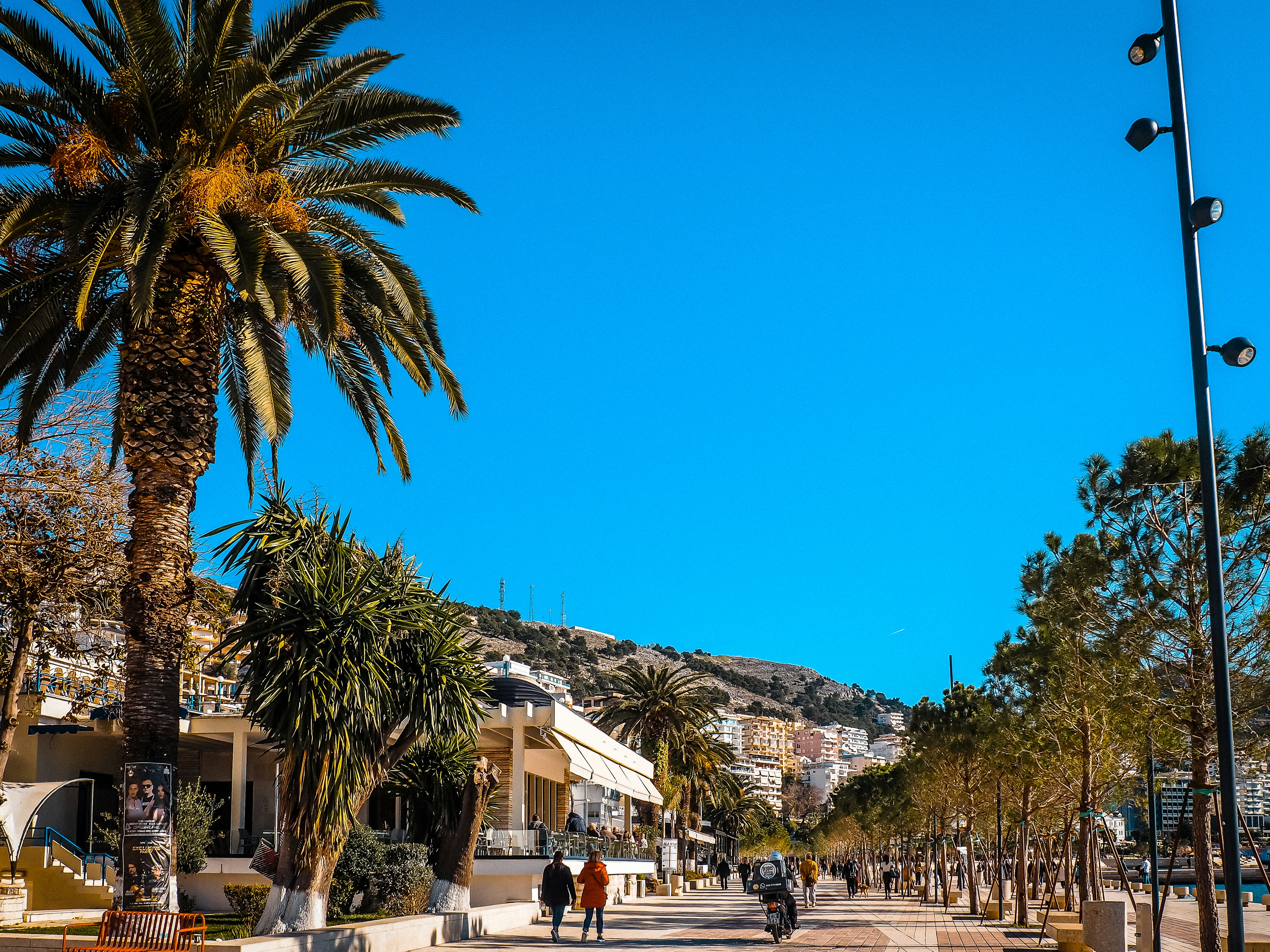 a street with palm trees and buildings