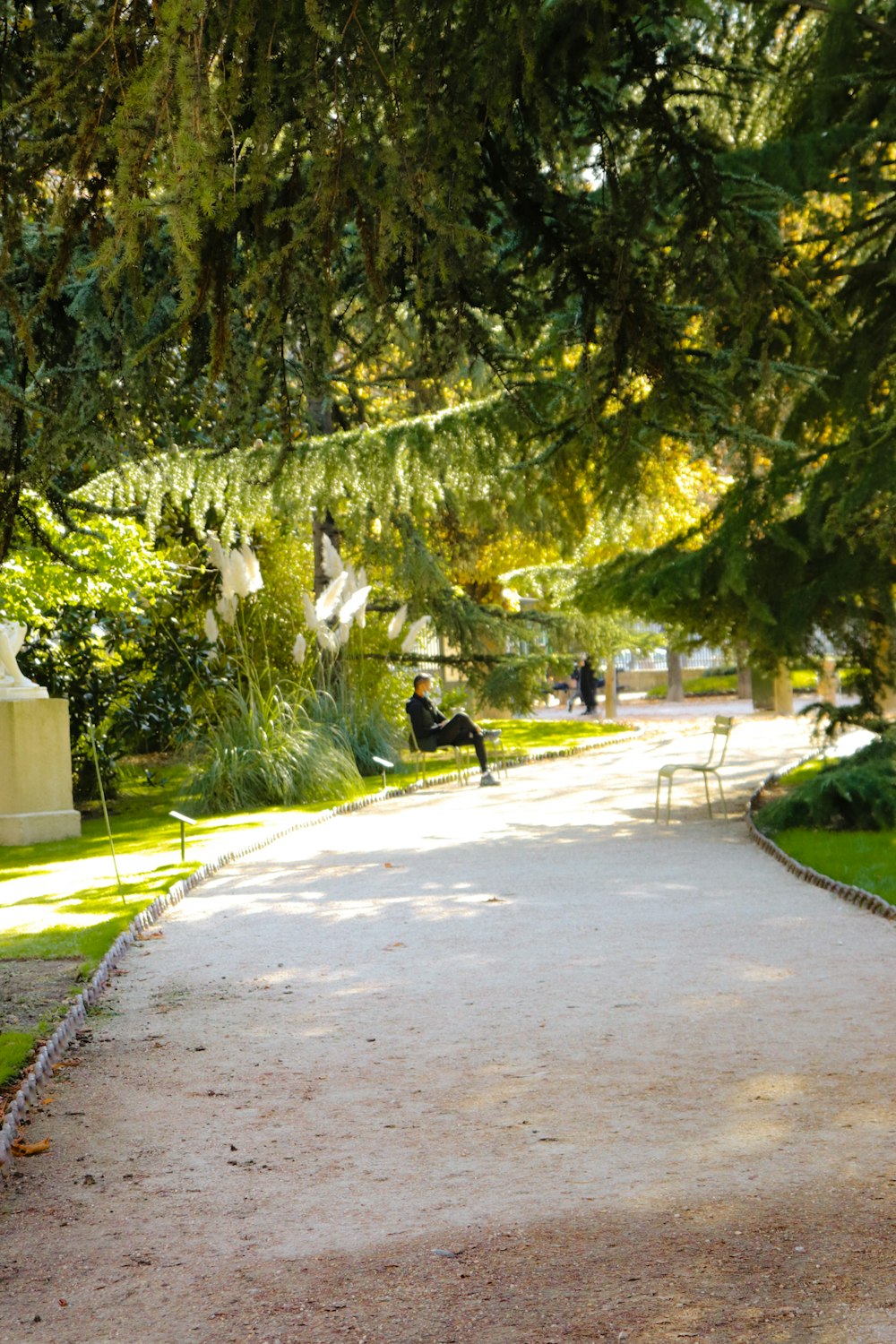 a person sitting on a bench under a tree