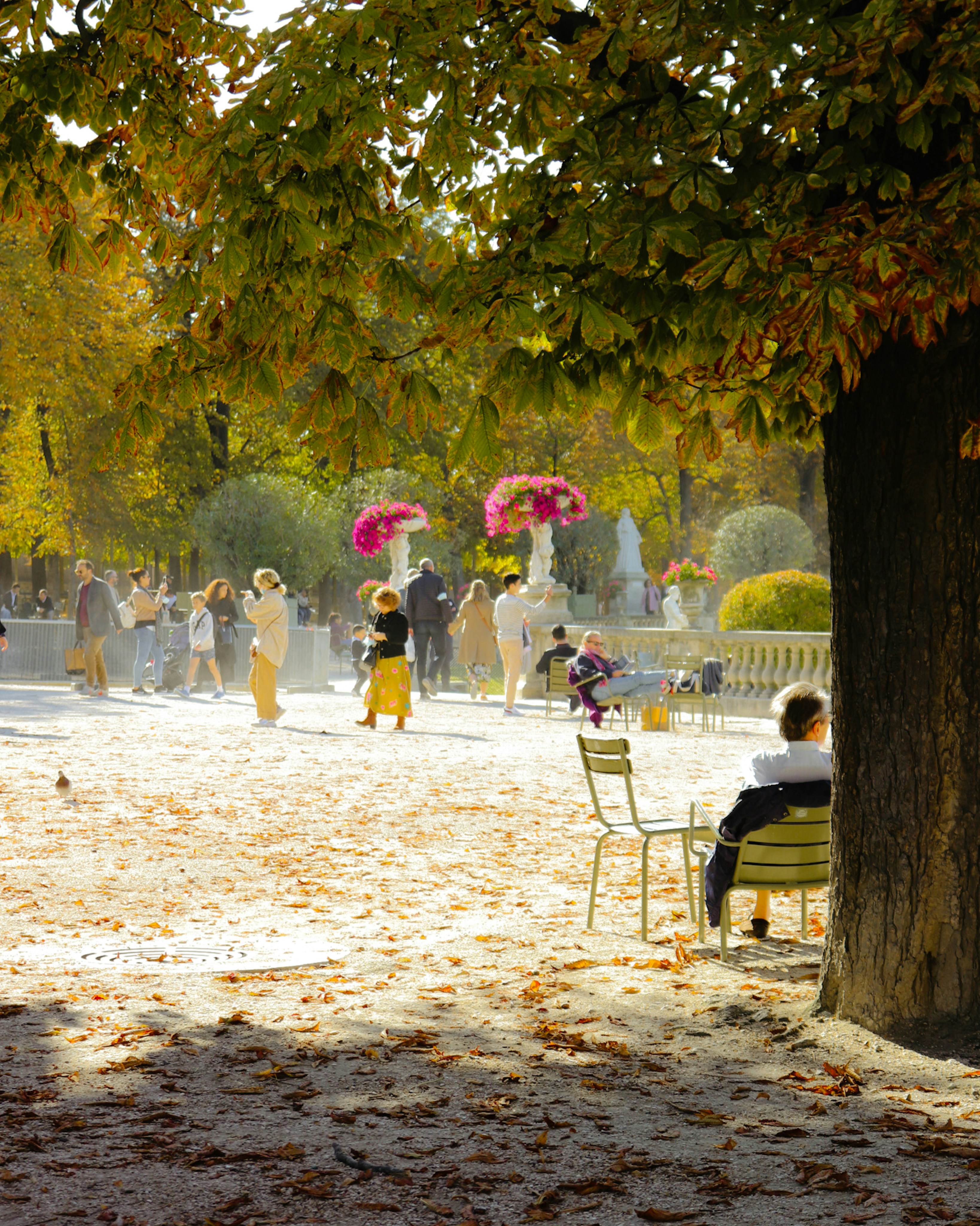 People walk through a park with autumn leaves on the ground.