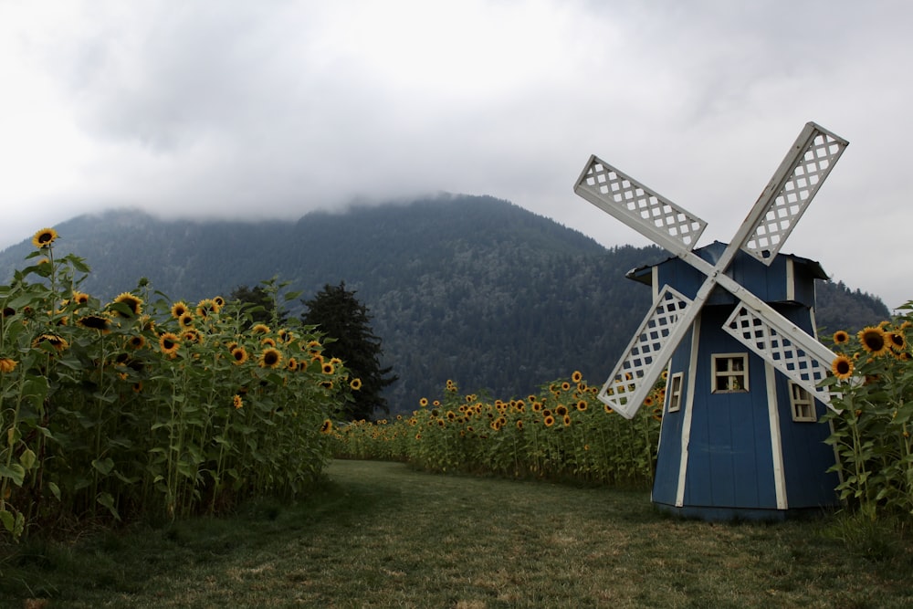 a windmill in a field