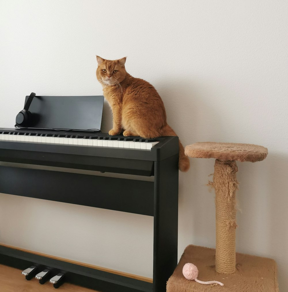 Un gato sentado en un piano