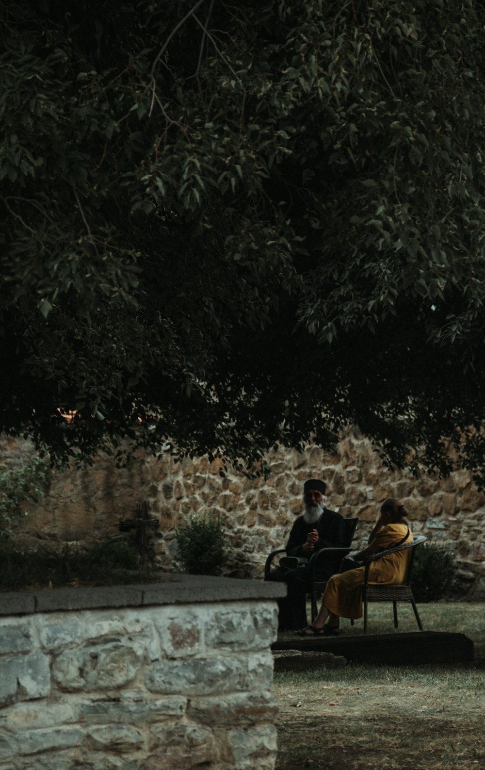 a man and woman sitting on a bench under a tree