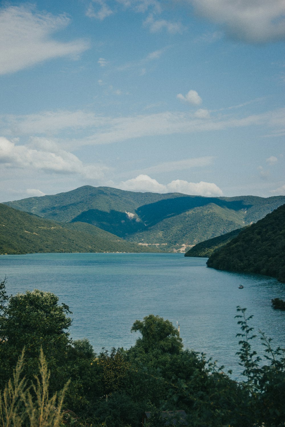 a body of water with trees and mountains in the background