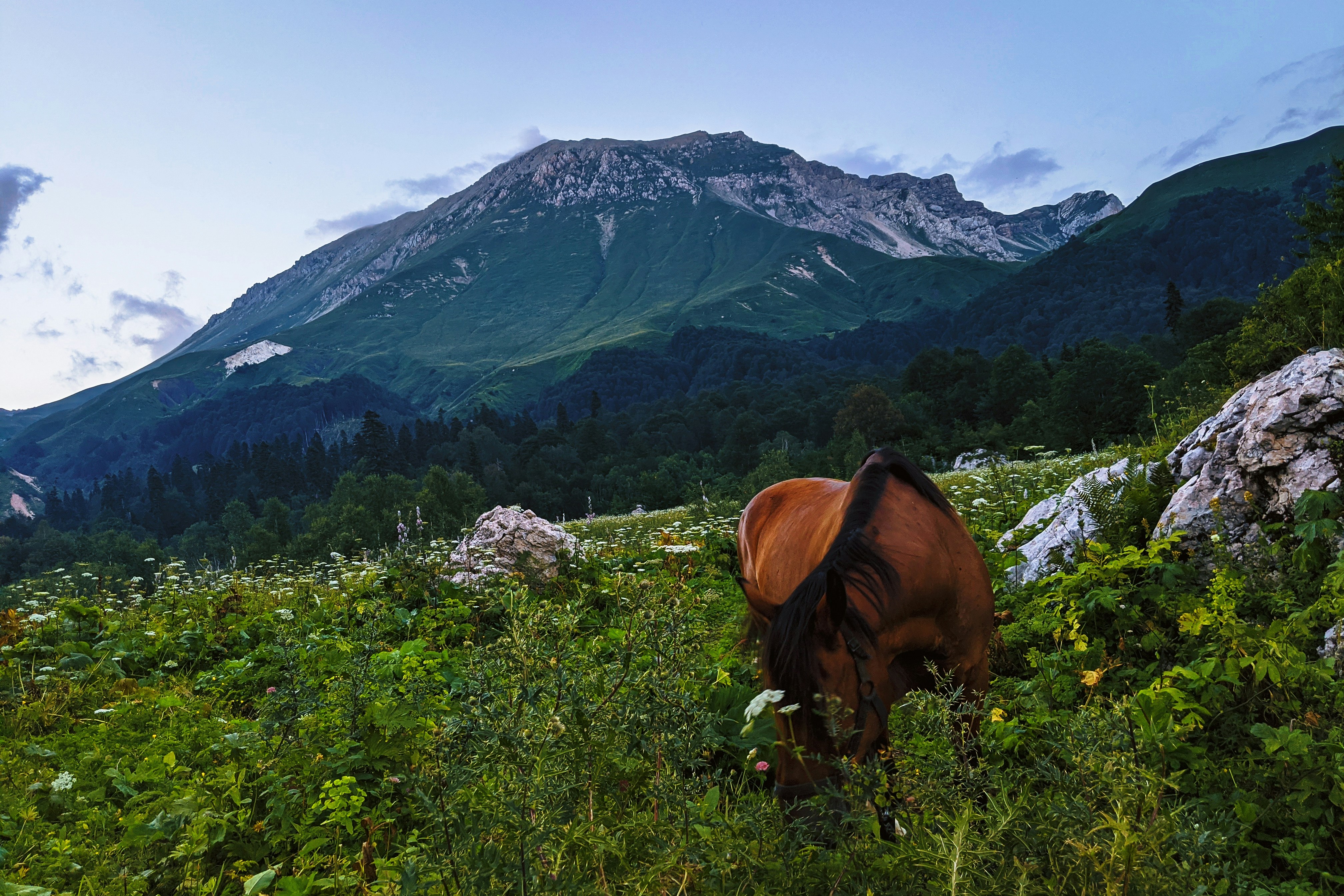 Photo by vakerbv