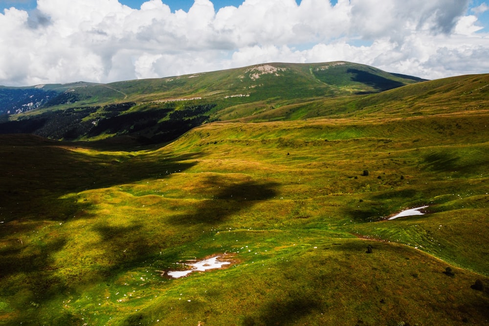 a grassy valley with a stream running through it