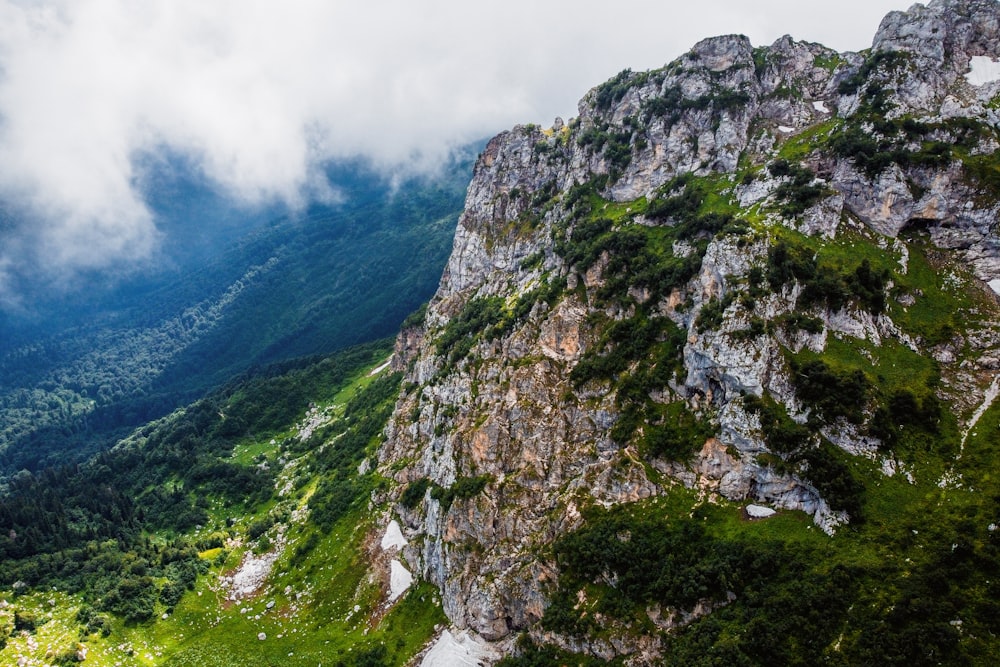 a rocky mountain with trees