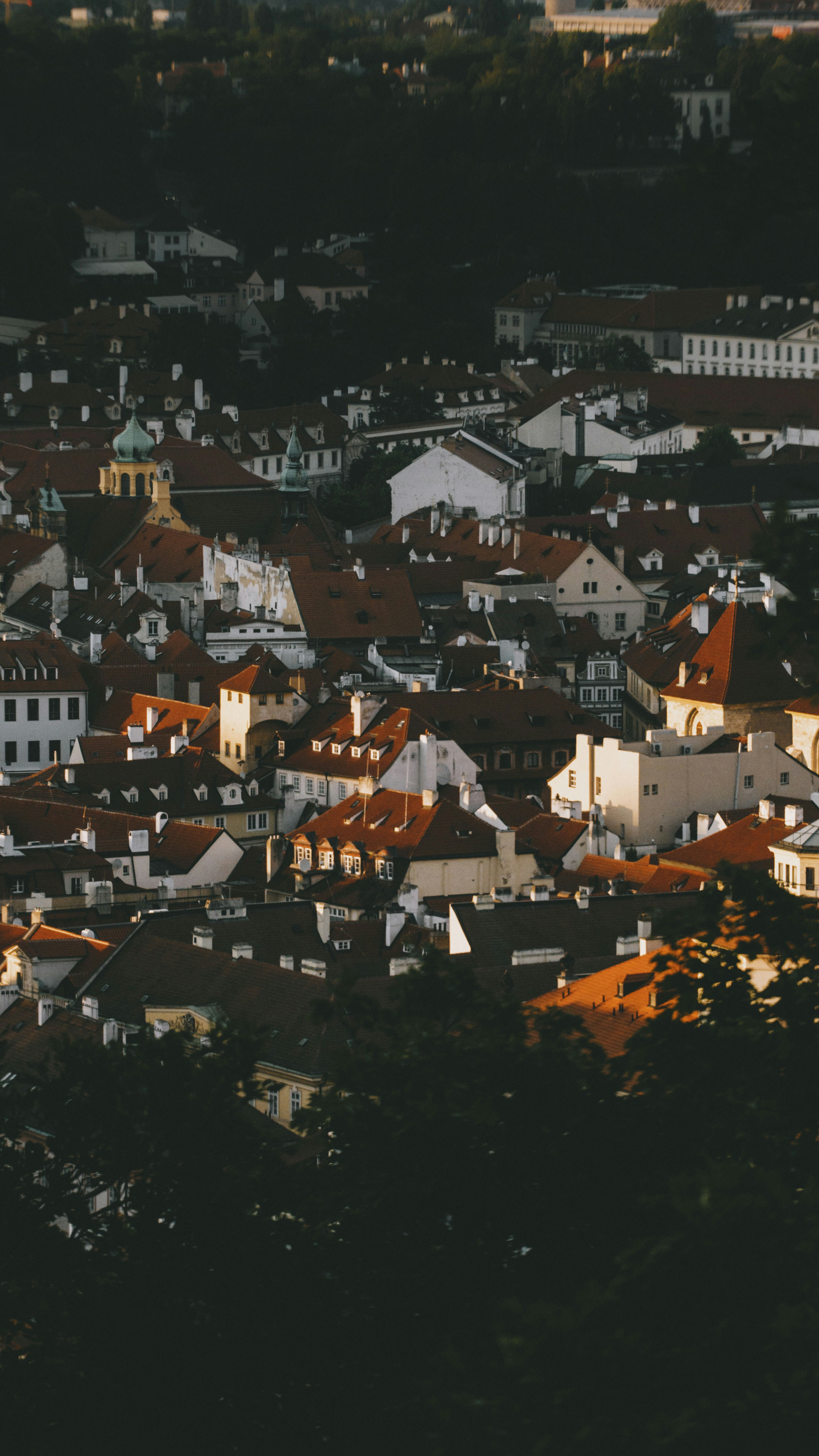 Photo by kalyanachanta