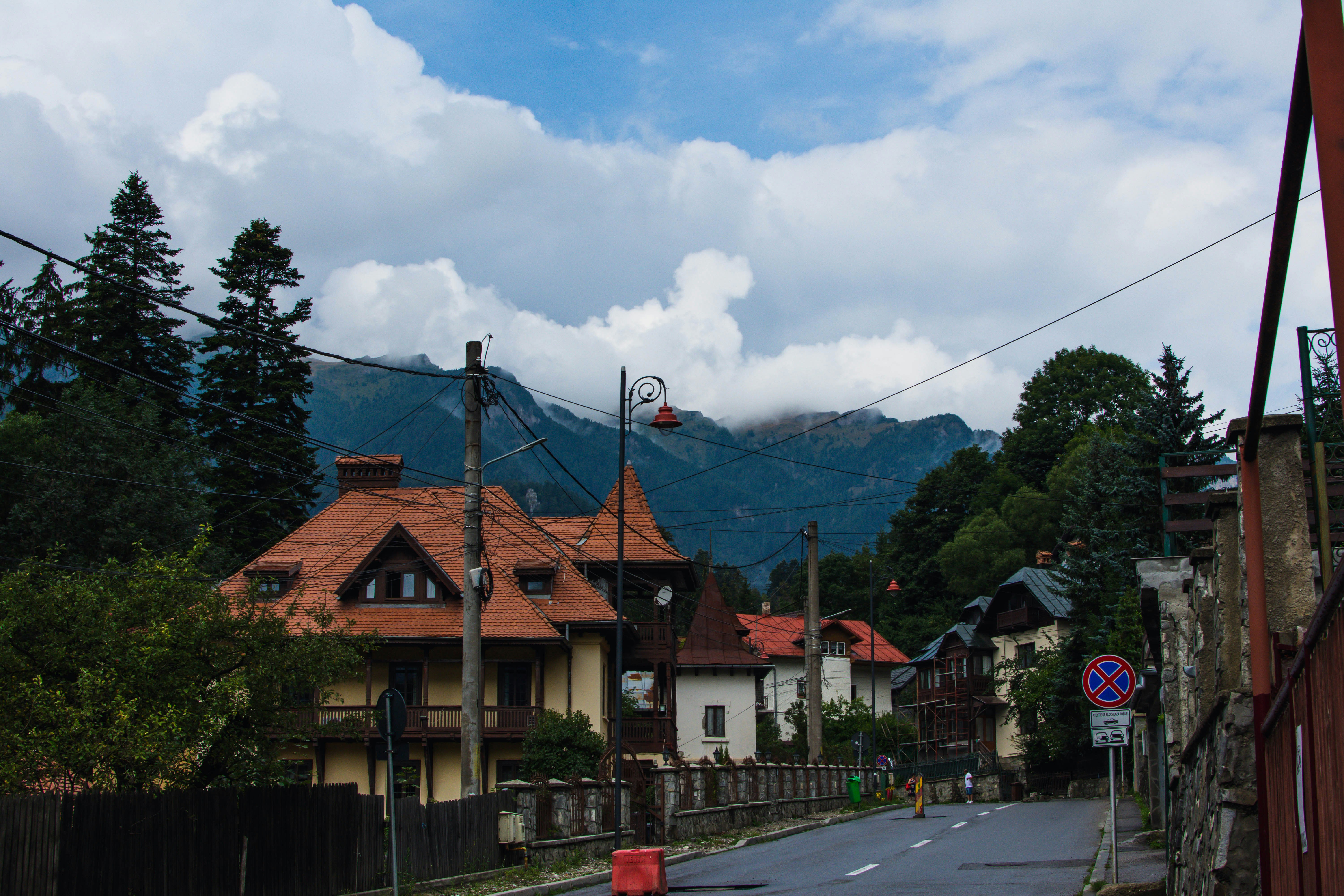 Photo by petrovici4