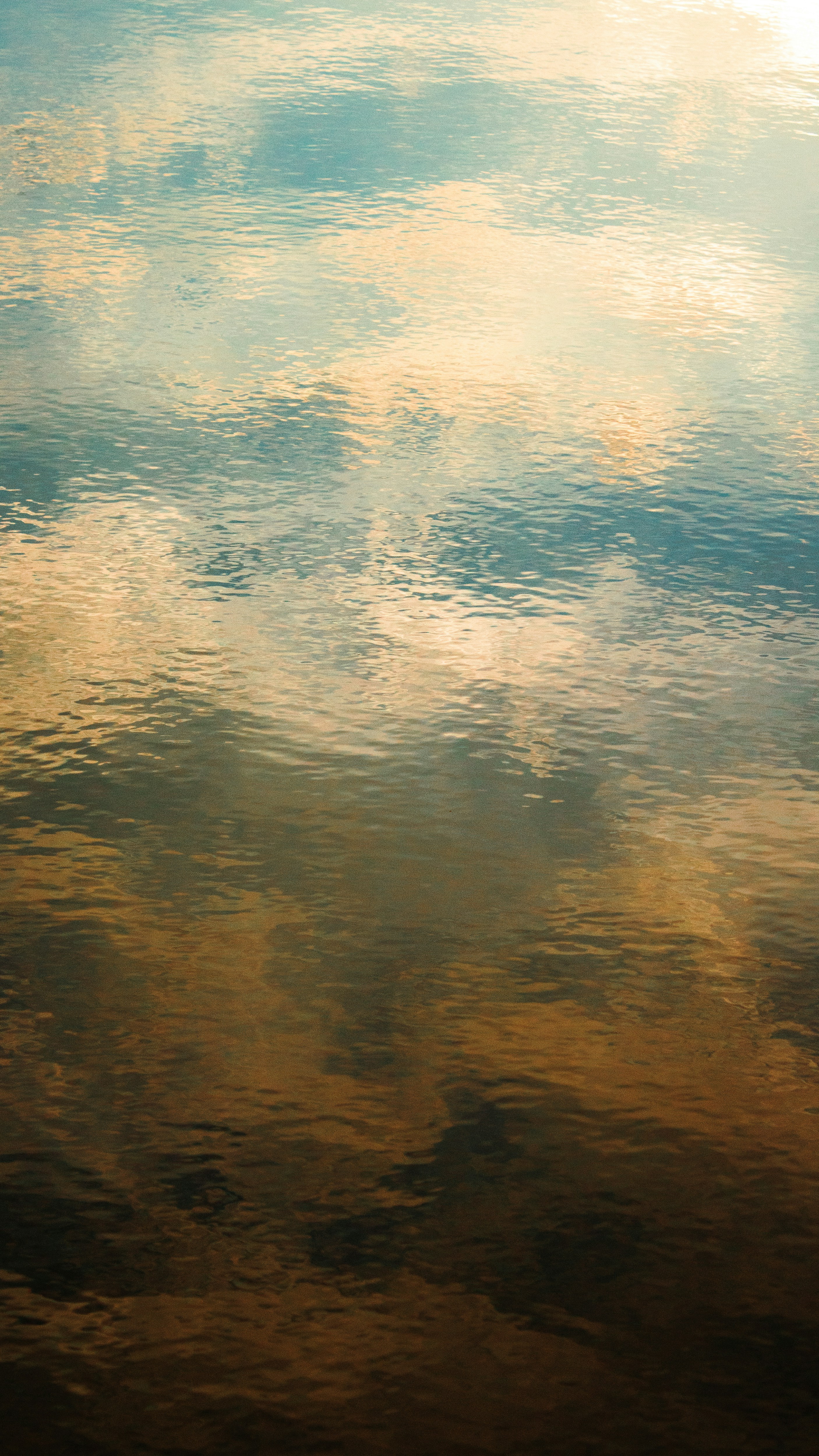 Photo by siyamensari