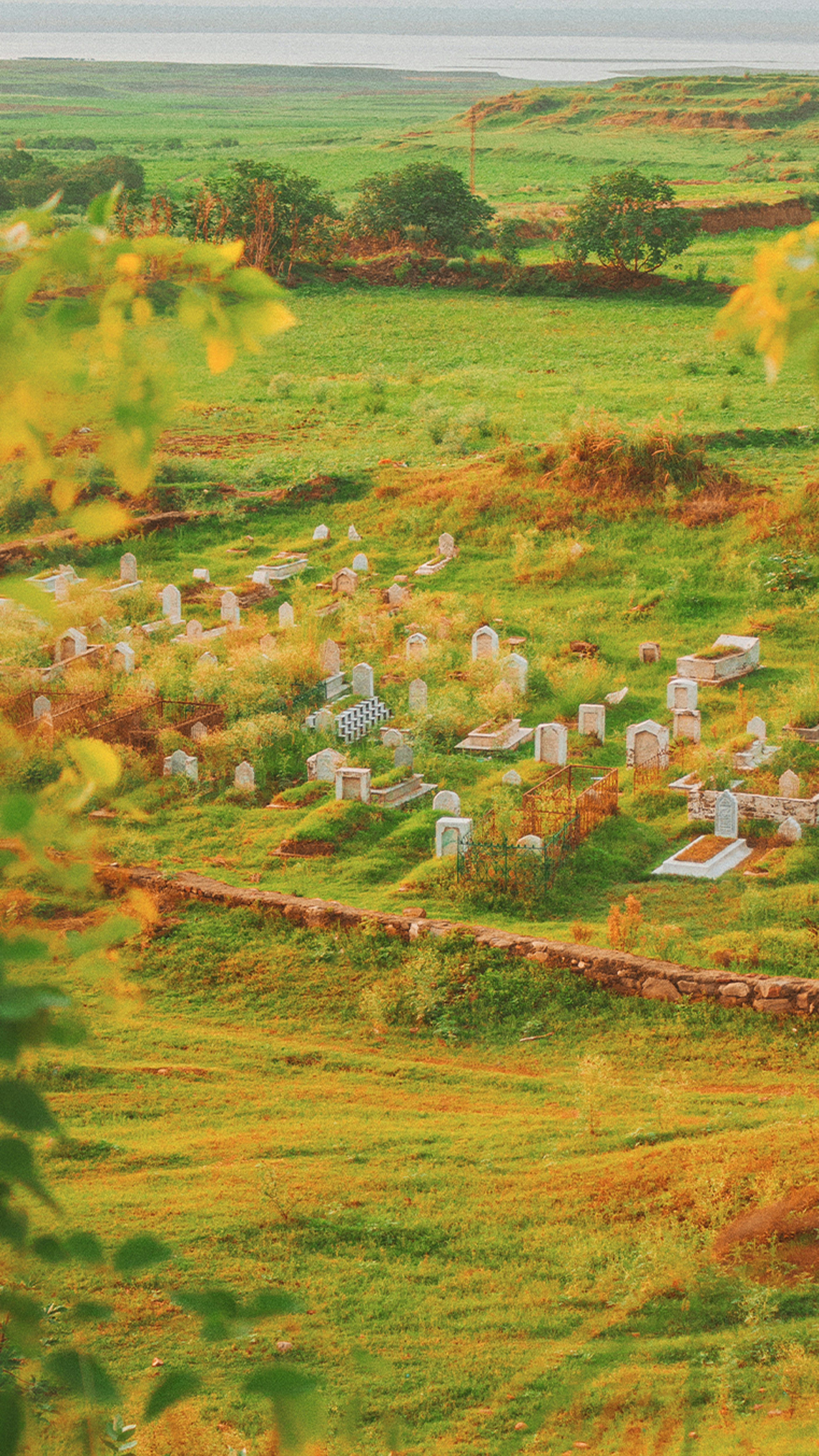 Un gruppo di case in un campo