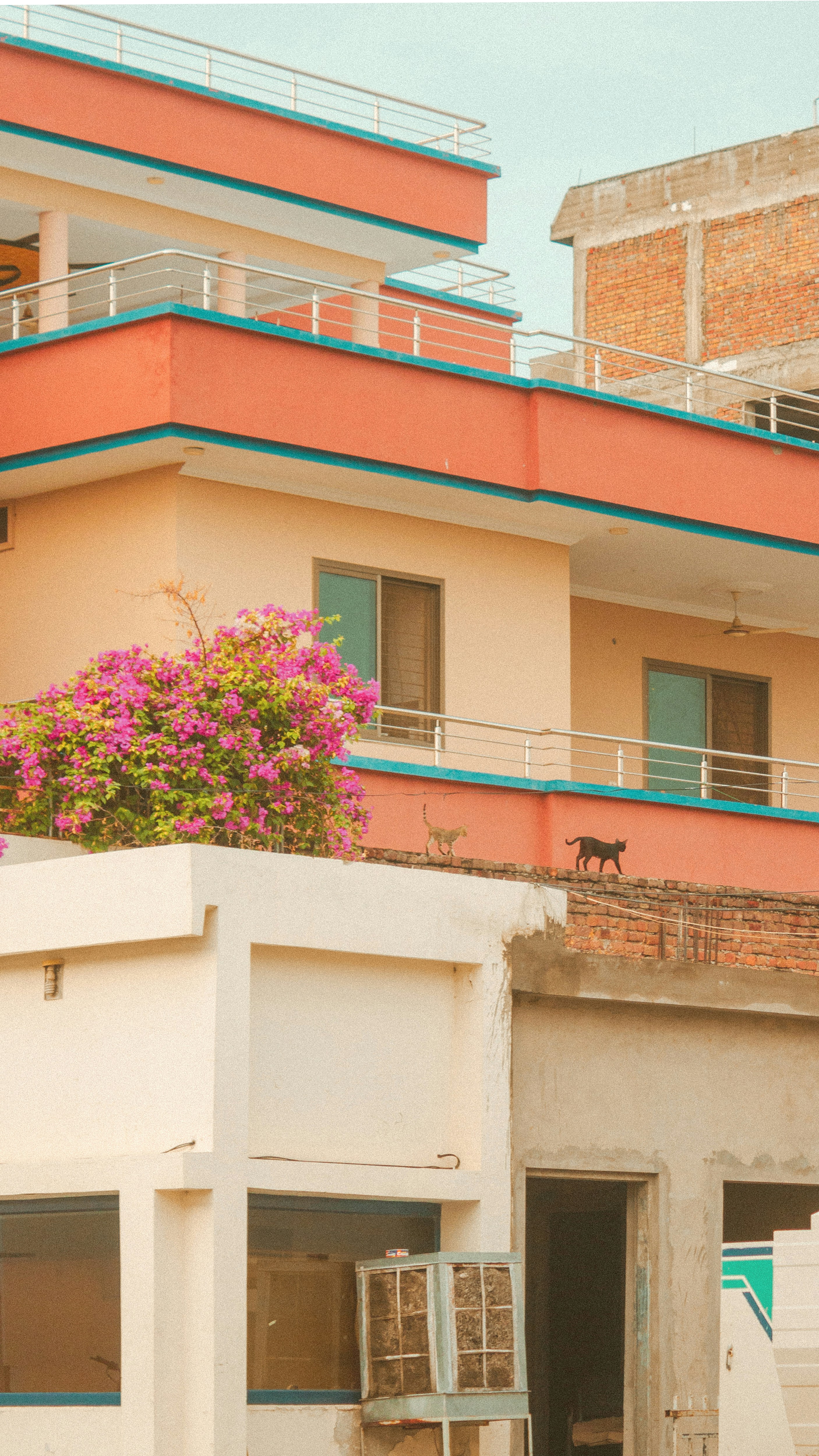 Photo by siyamensari