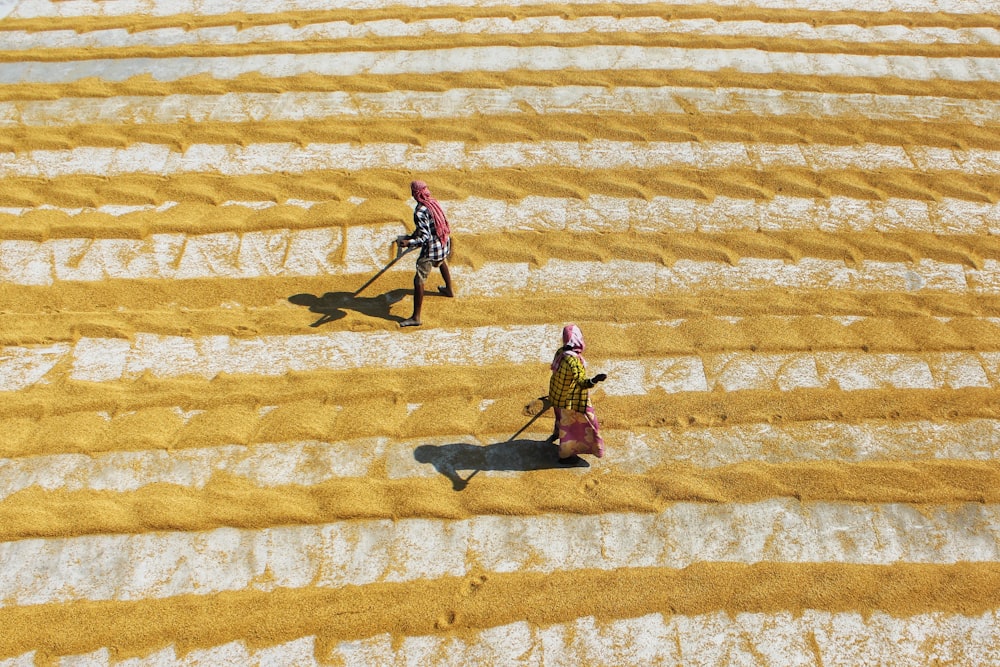 a few people walking on a dry land