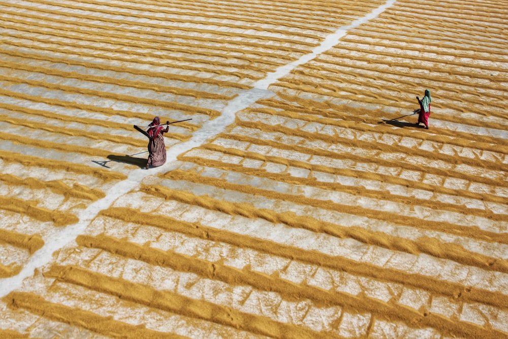 a couple of people walking on a sand dune