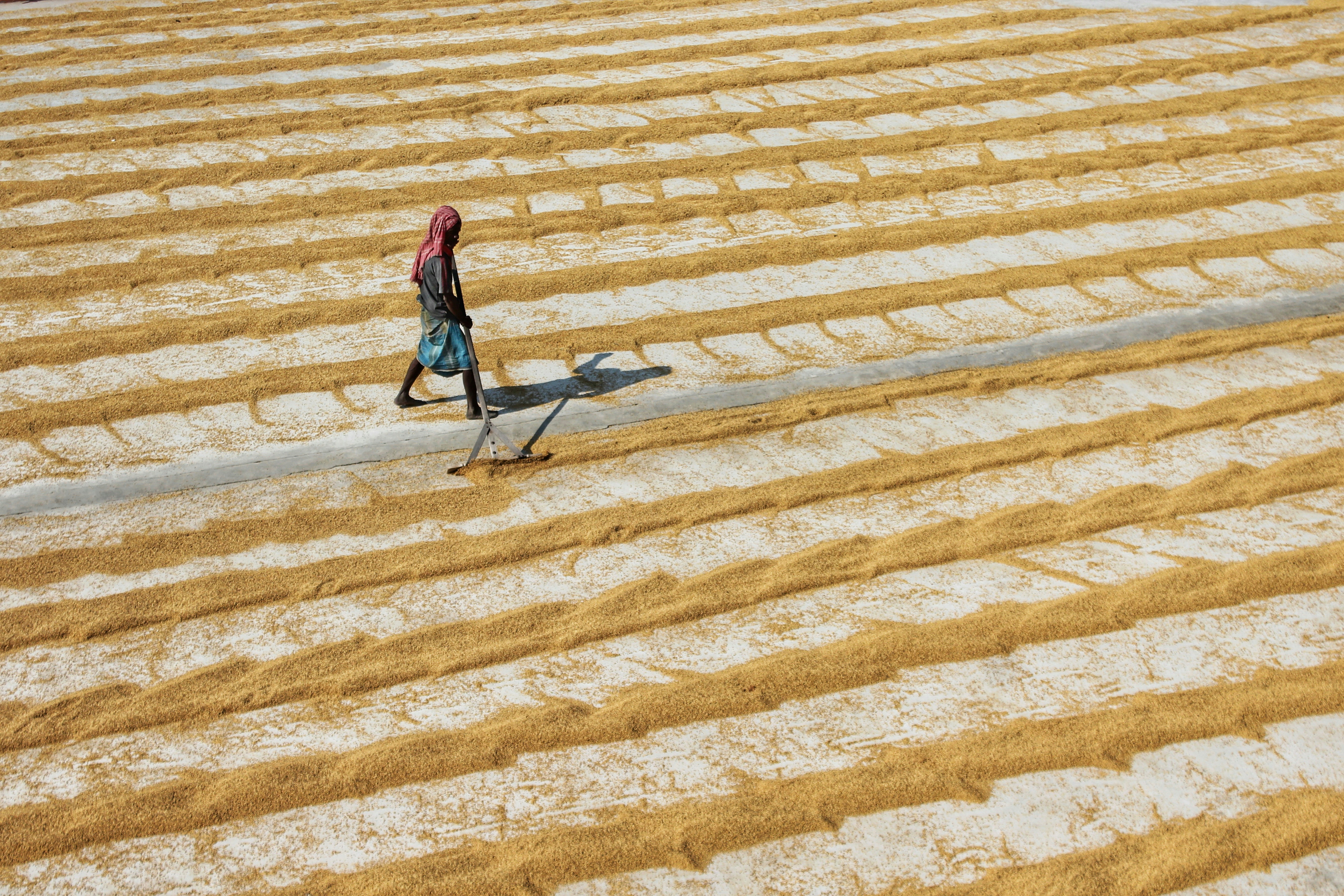 Photo by dibakar16roy