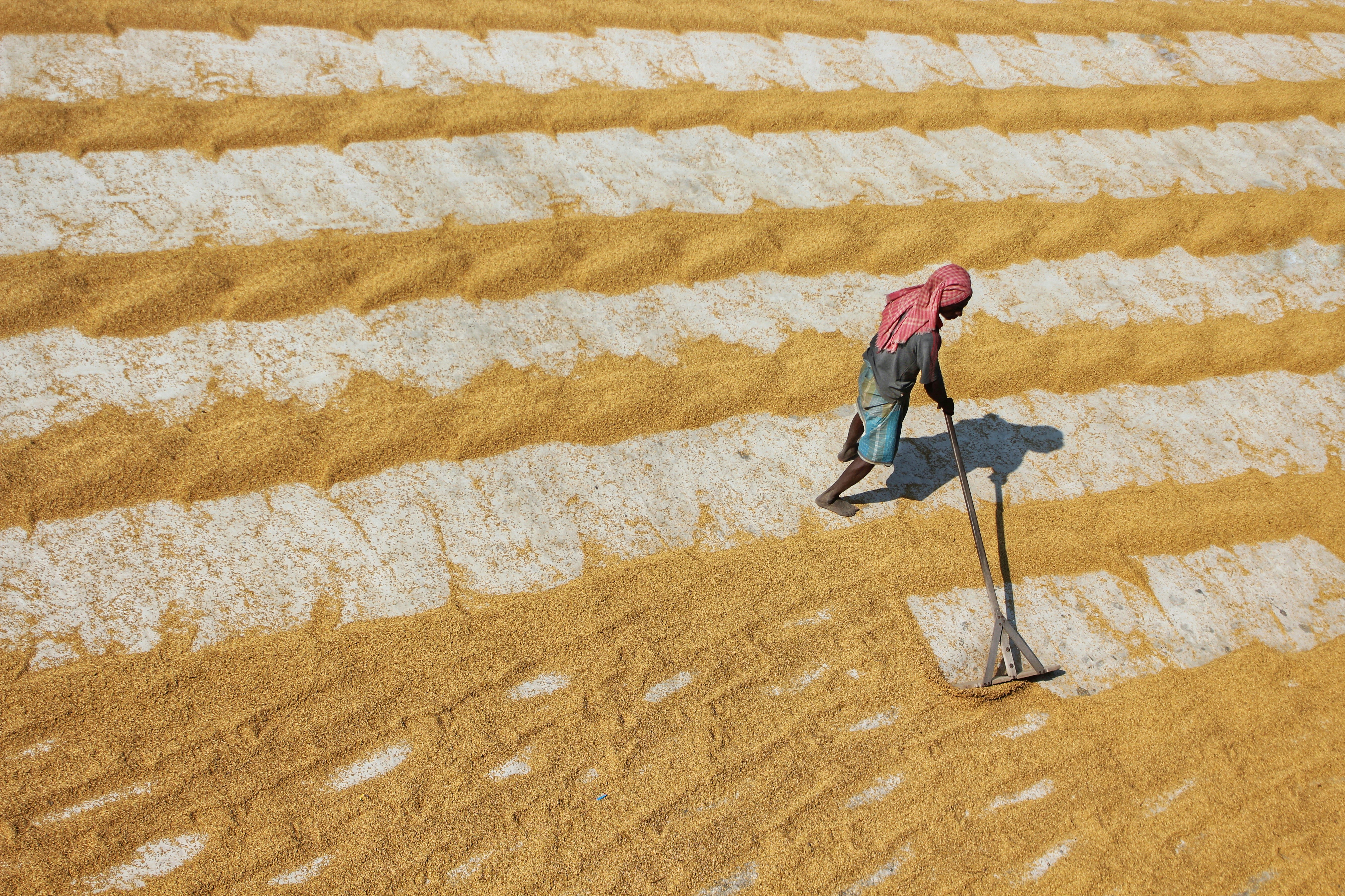 Una persona parada en un campo