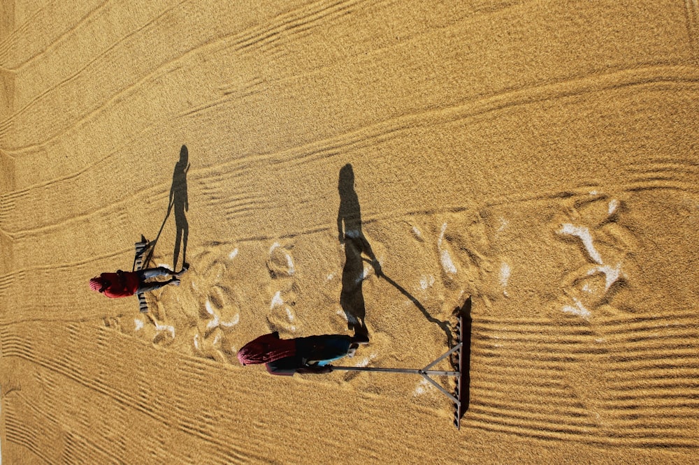 a group of people on a beach