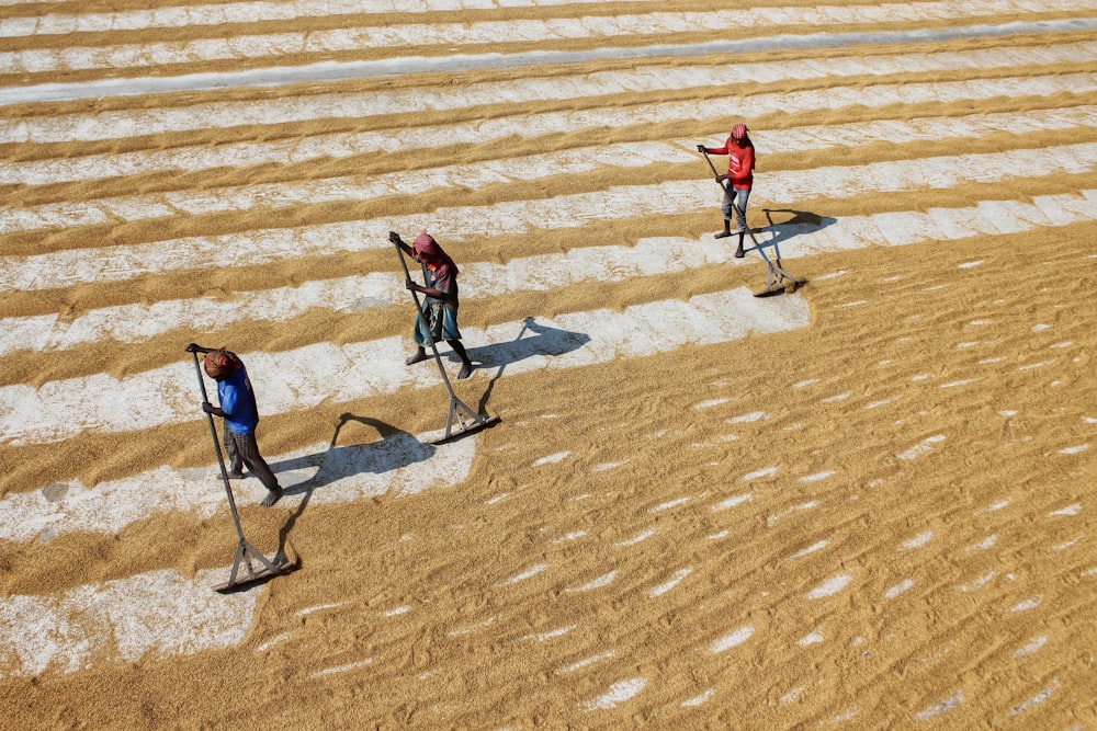 a couple of people hiking up a hill