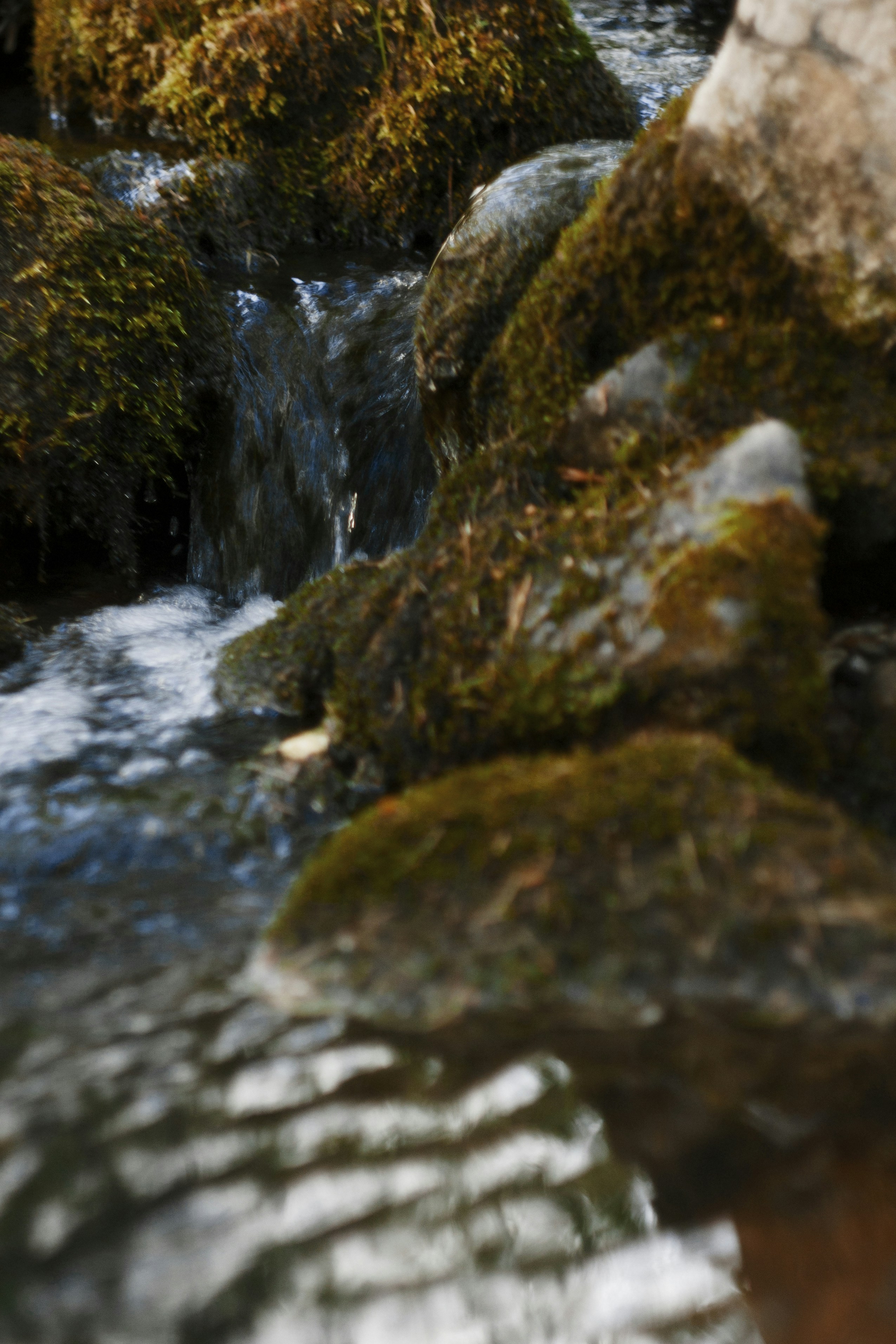 Photo by nalkhakimova