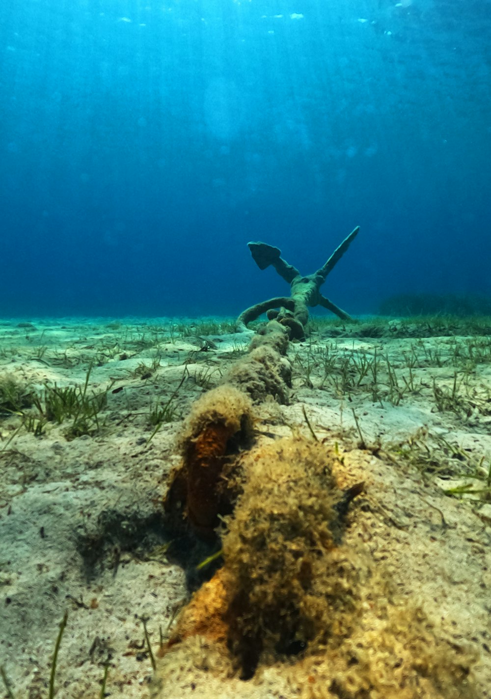 a scuba diver swimming in the ocean