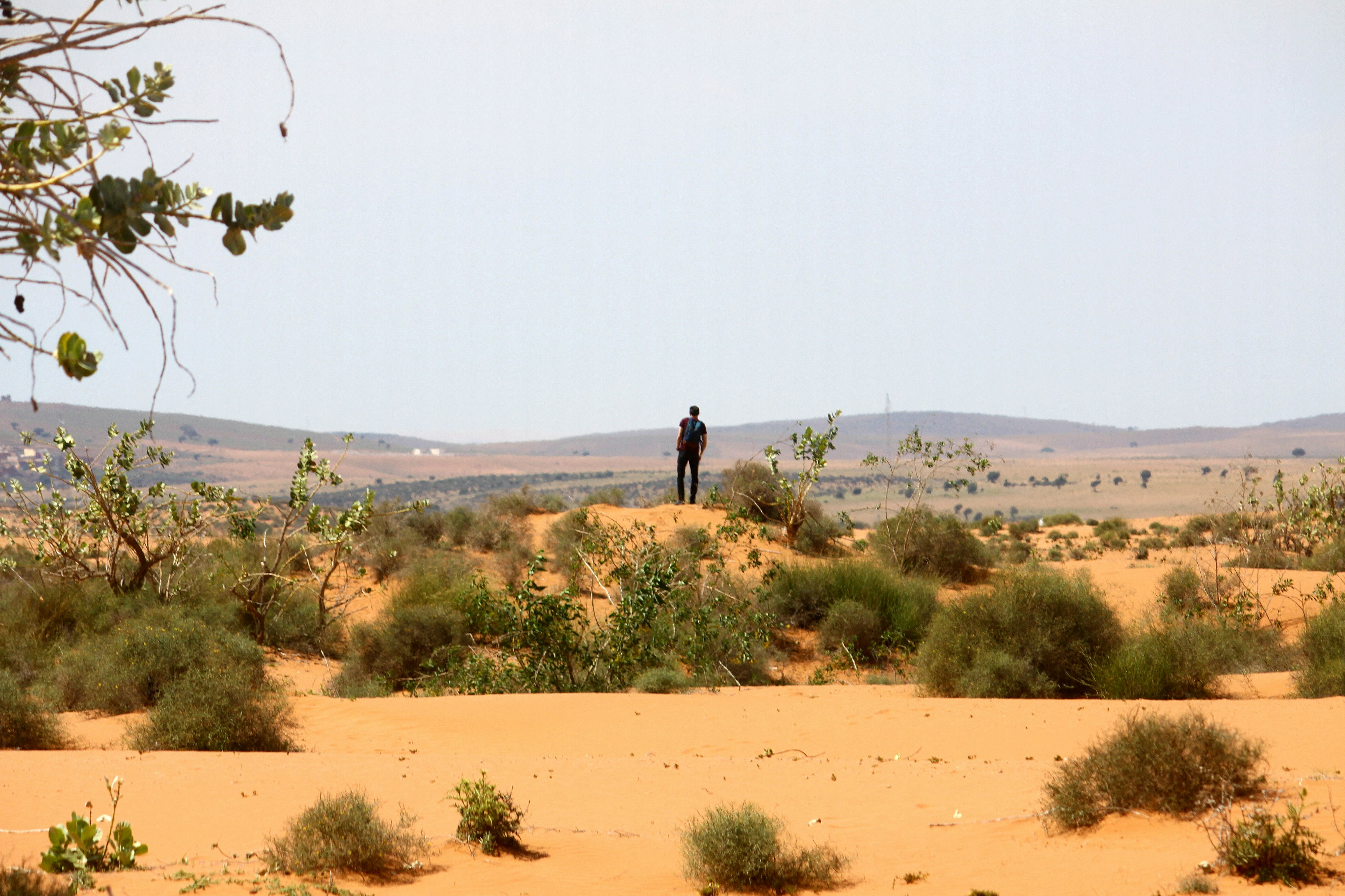 Photo by Dalila Moreira