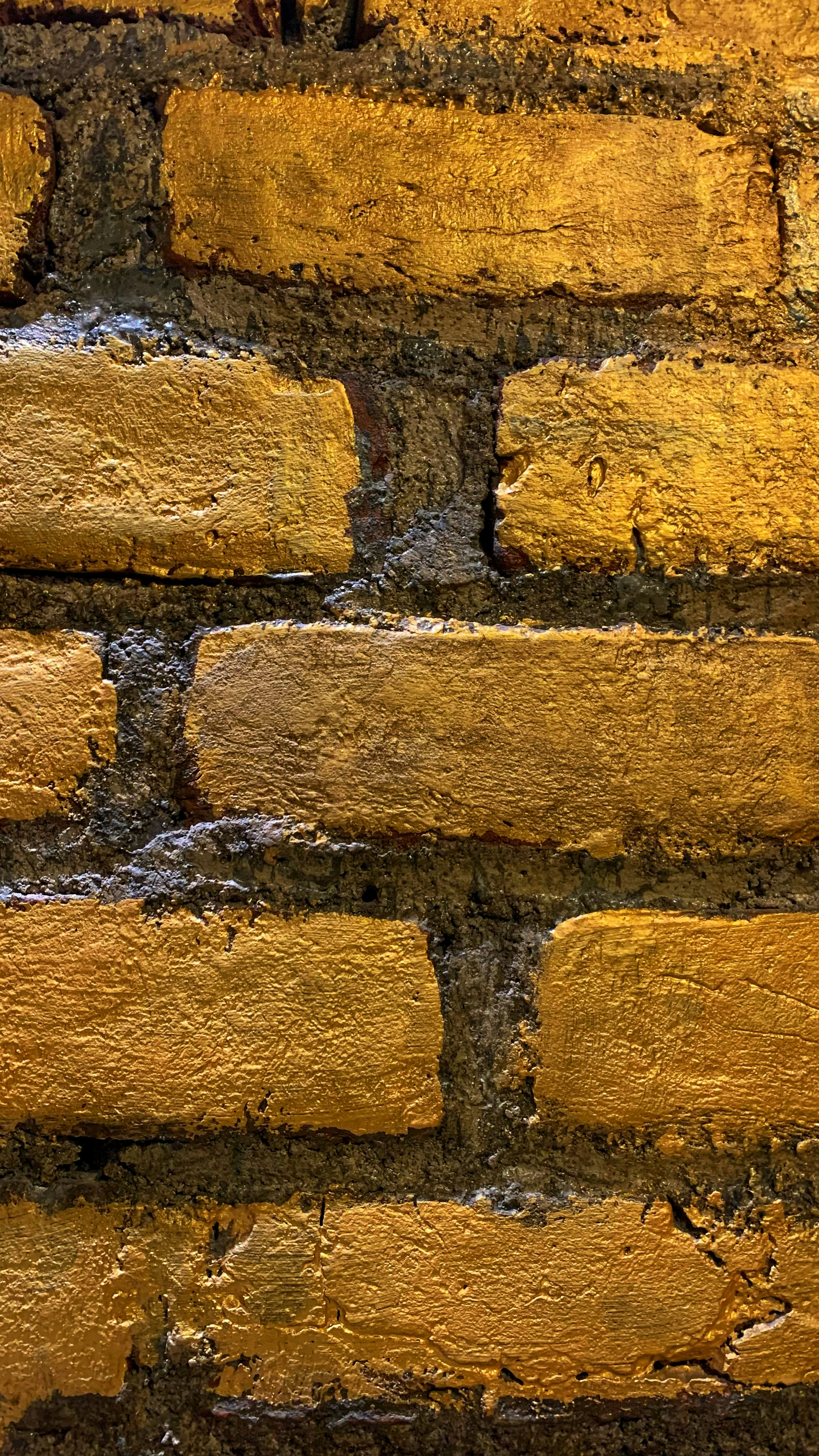 Photo by saubhagya2304