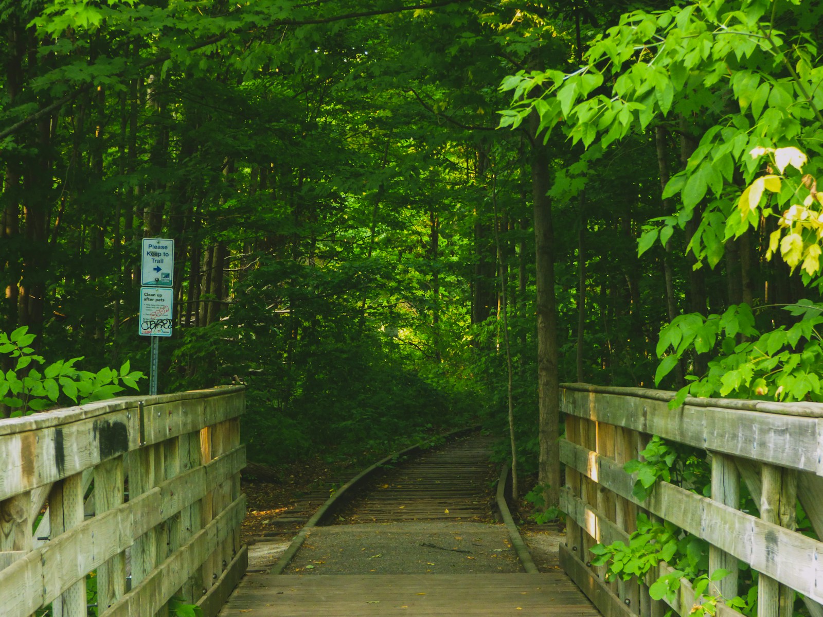 Best Neighbourhoods to Live in Milton in 2026