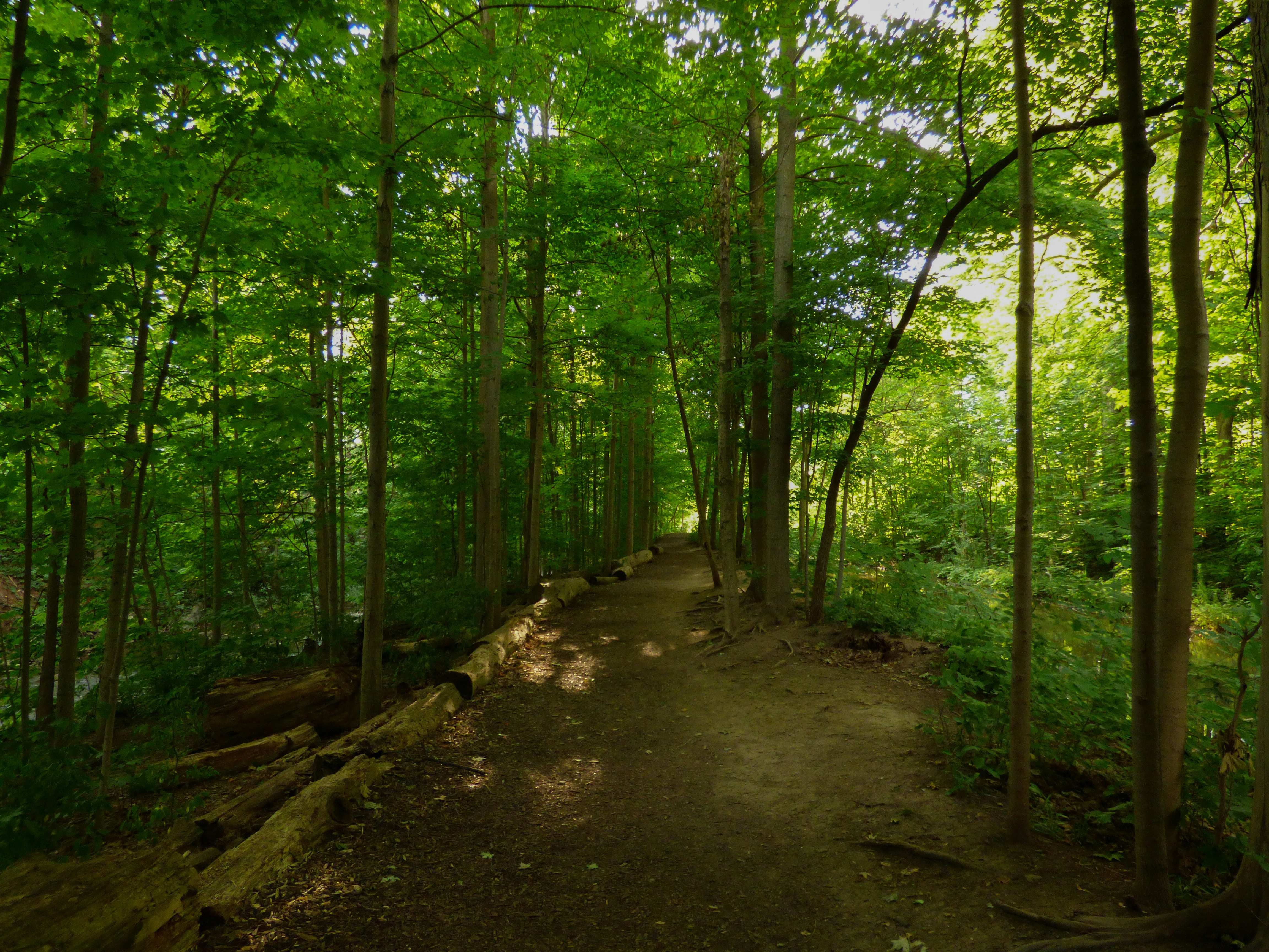 Photo by eirenethoms