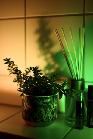 A plant in a decorative pot with leafy patterns sits on a tiled surface. Next to it are several aroma sticks in a glass container. The scene is illuminated by warm, ambient lighting casting soft shadows on the wall.