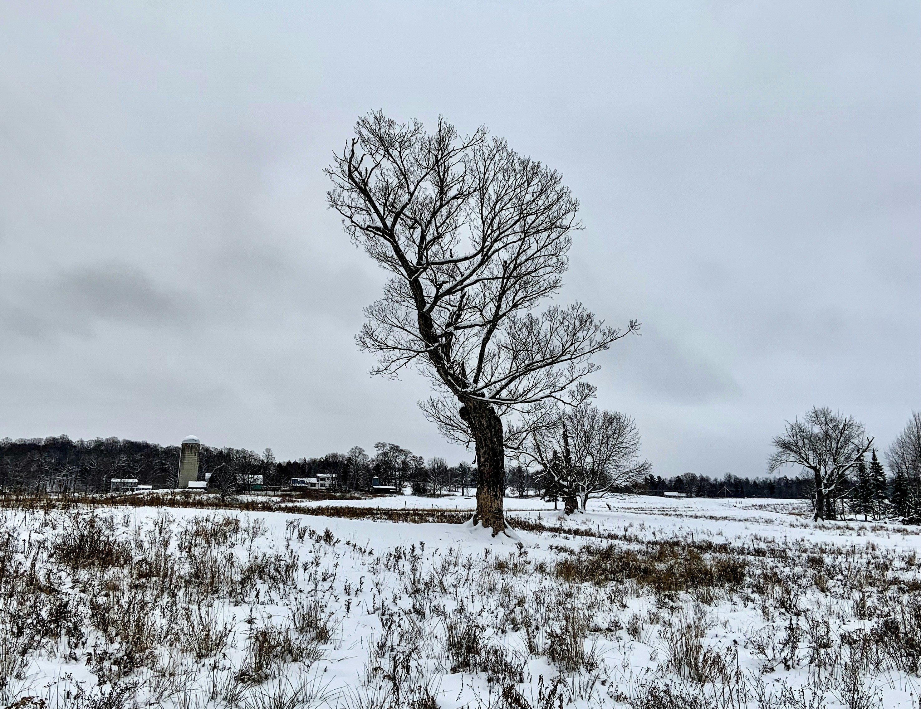 Leach Field Failure: What It Means and What It Costs