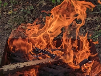 Bright orange and yellow flames rise from a pile of burning sticks and wood. The fire crackles and dances against a background of earthy tones, with fallen leaves and greenery visible.