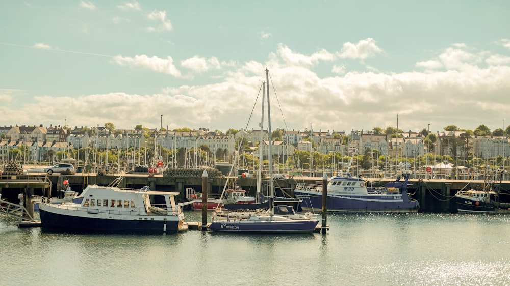 boats in the water