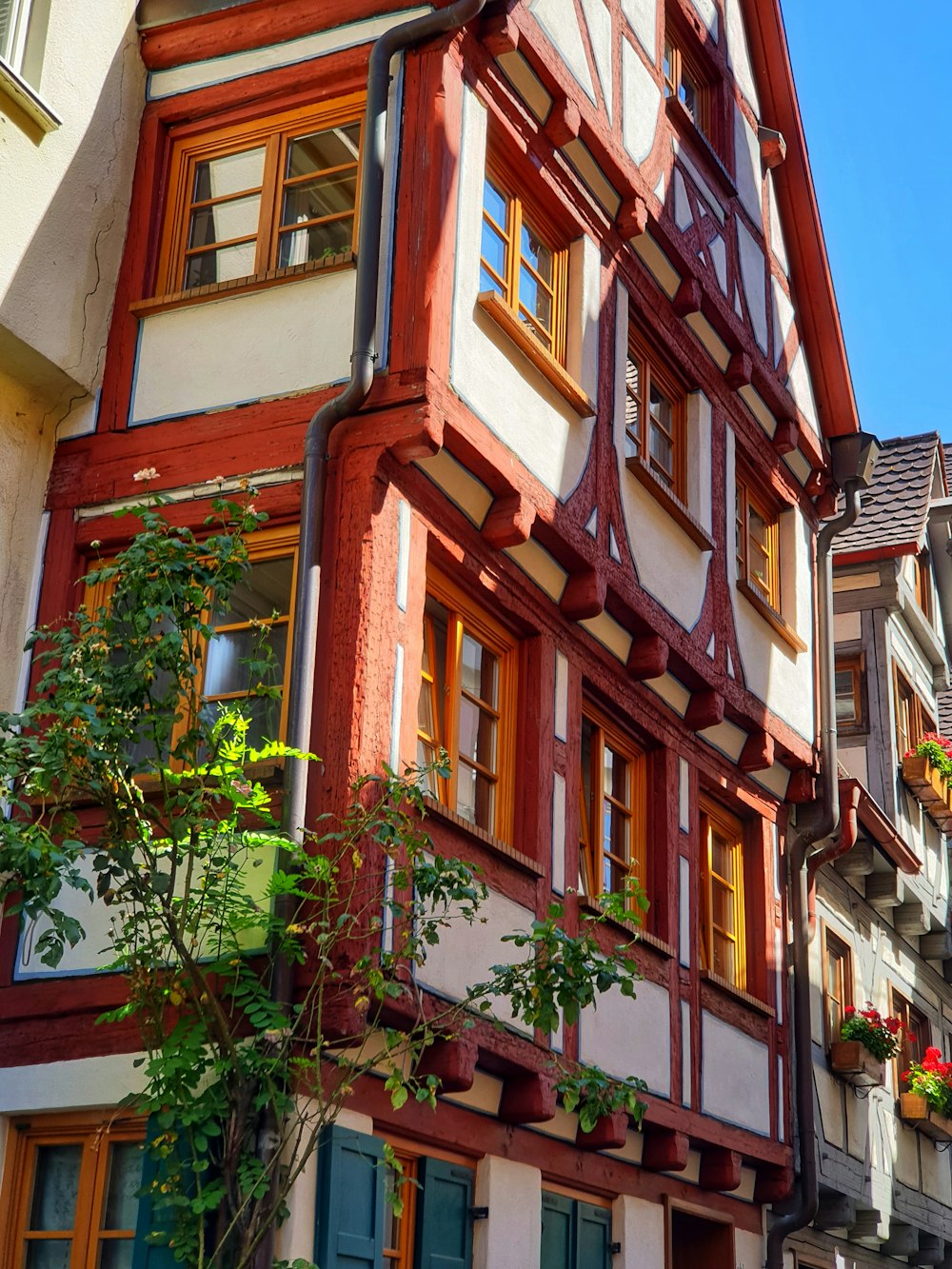 a building with many windows