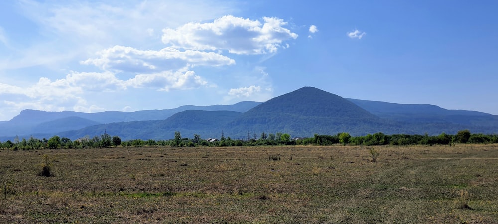 a large field with mountains in the background