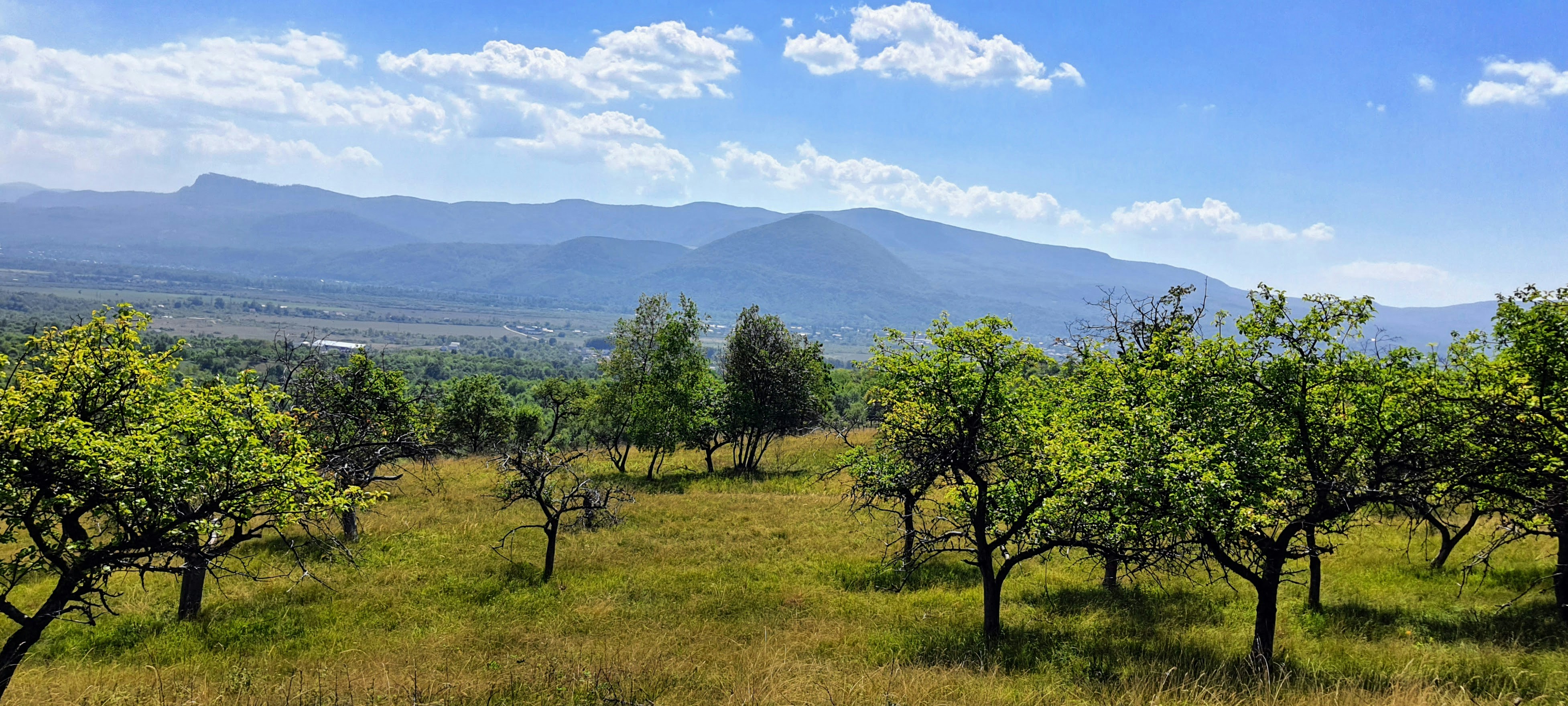 Photo by olenazolotko