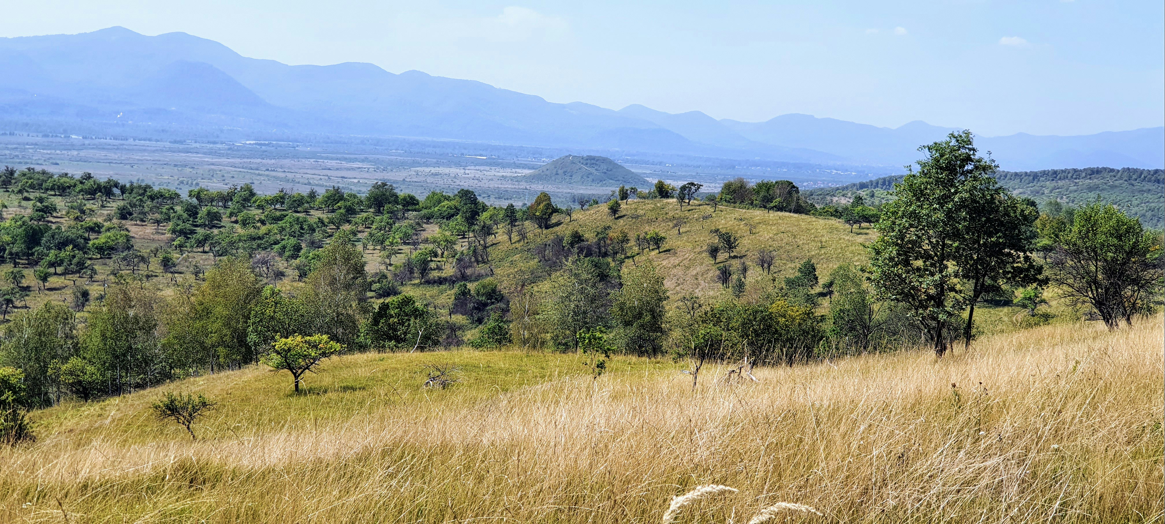 Photo by olenazolotko