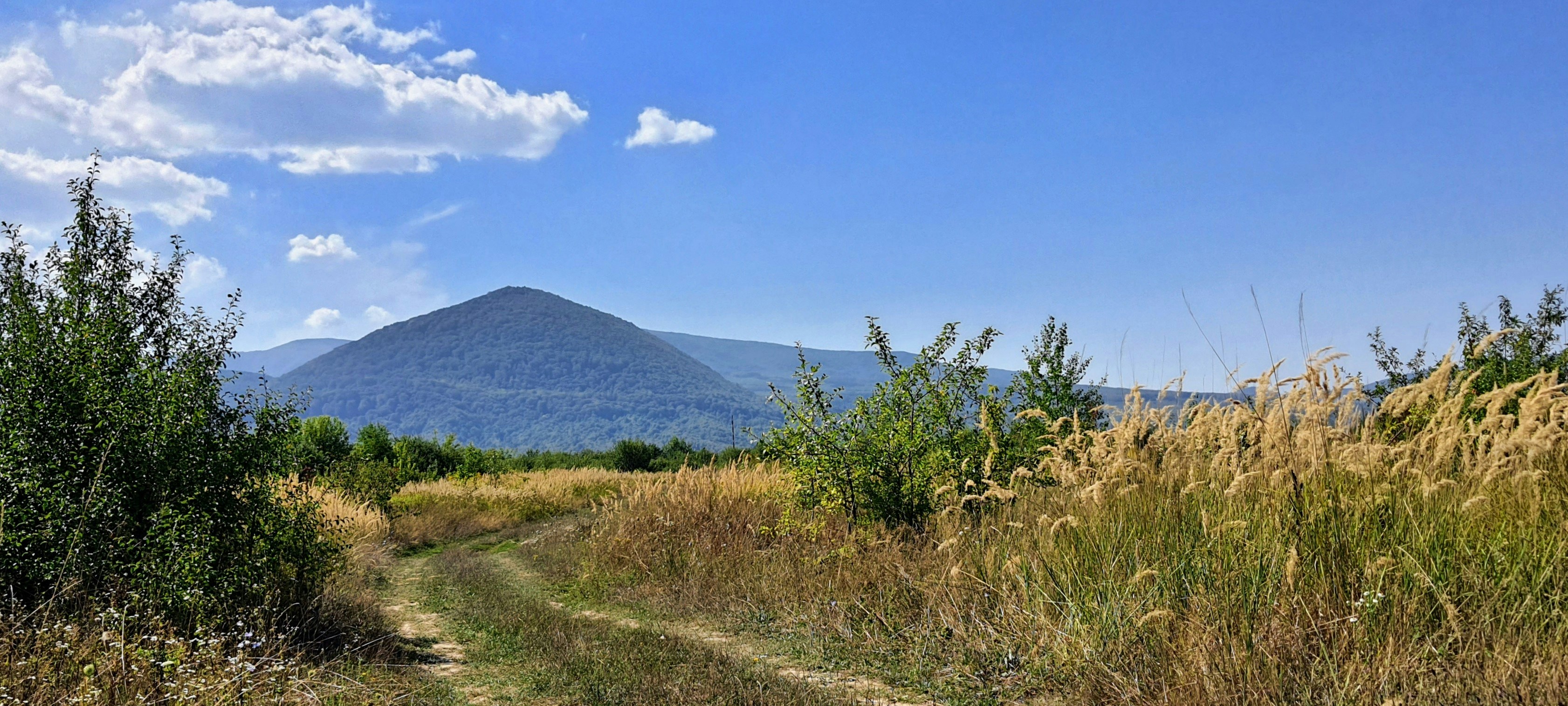 Photo by olenazolotko